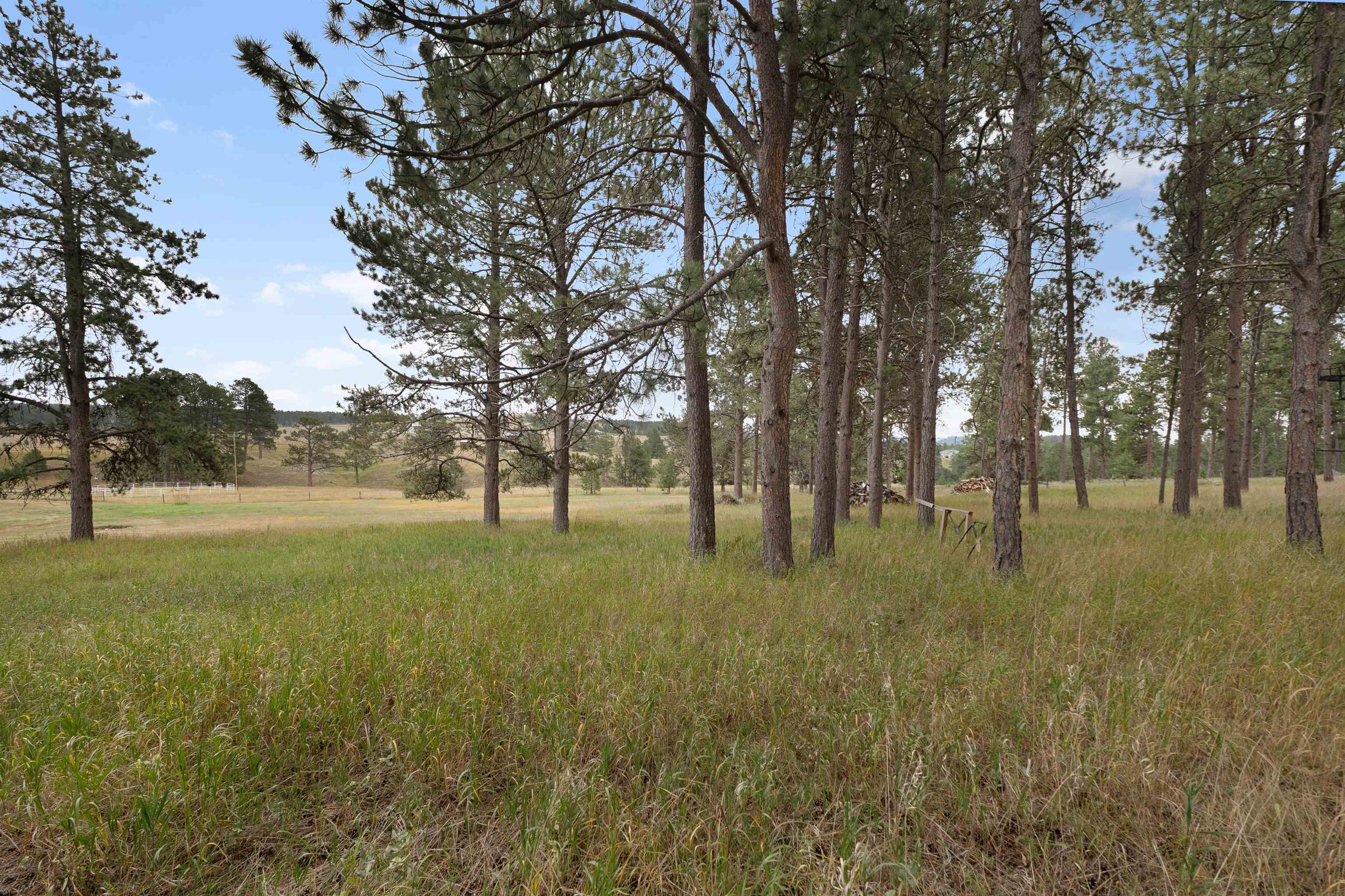 11585 War Bonnet Road Property Photo 44