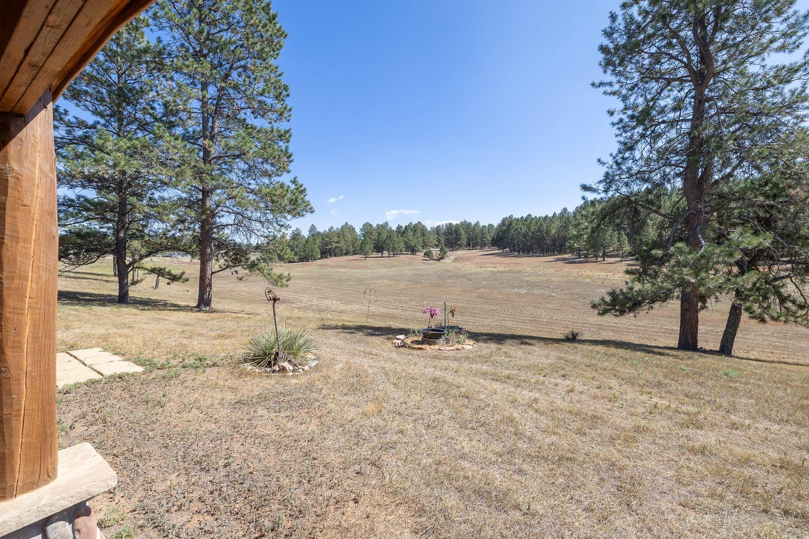 11935 Lone Elk Drive Property Photo 16