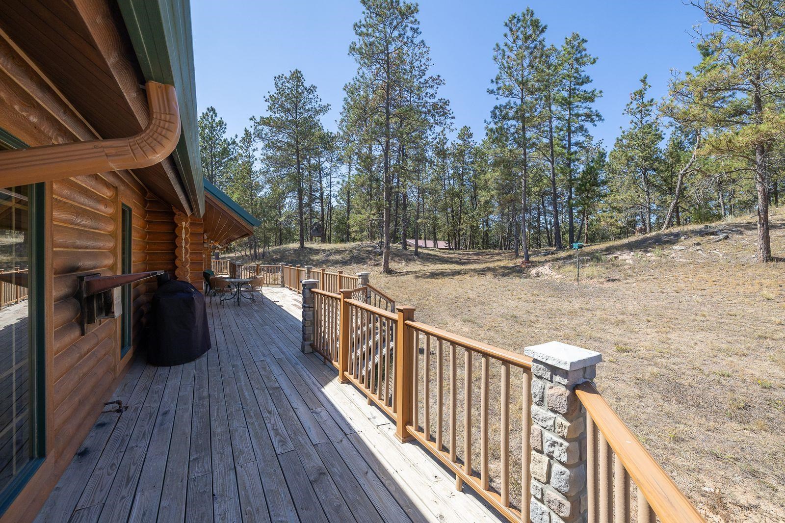 11935 Lone Elk Drive Property Photo 44