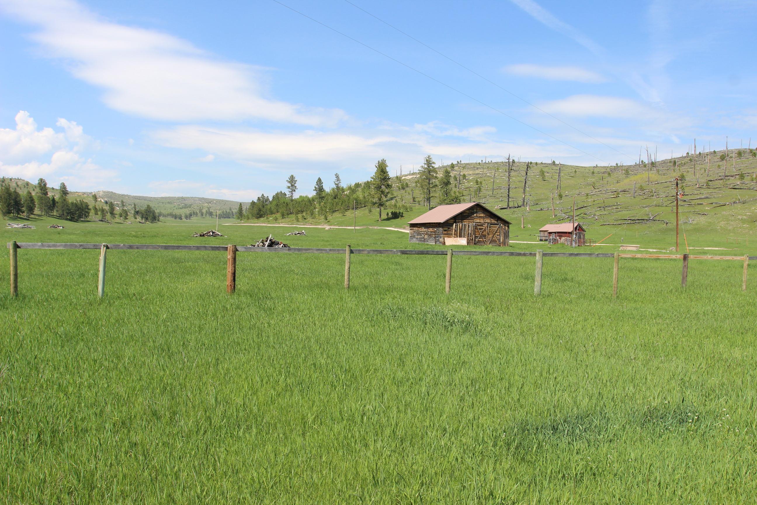 11246 Custer Limestone Road Property Photo 2