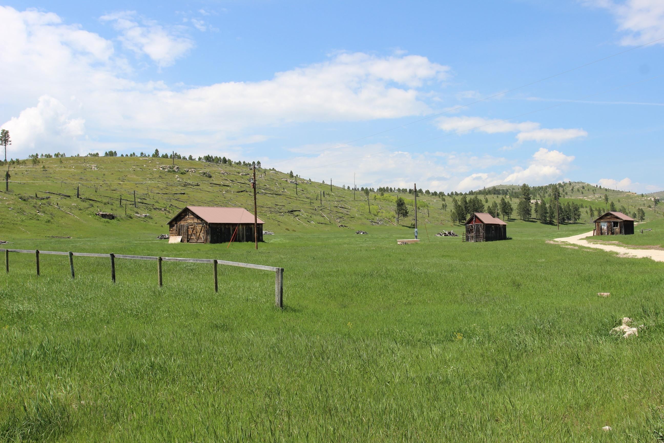 11246 Custer Limestone Road Property Photo 3