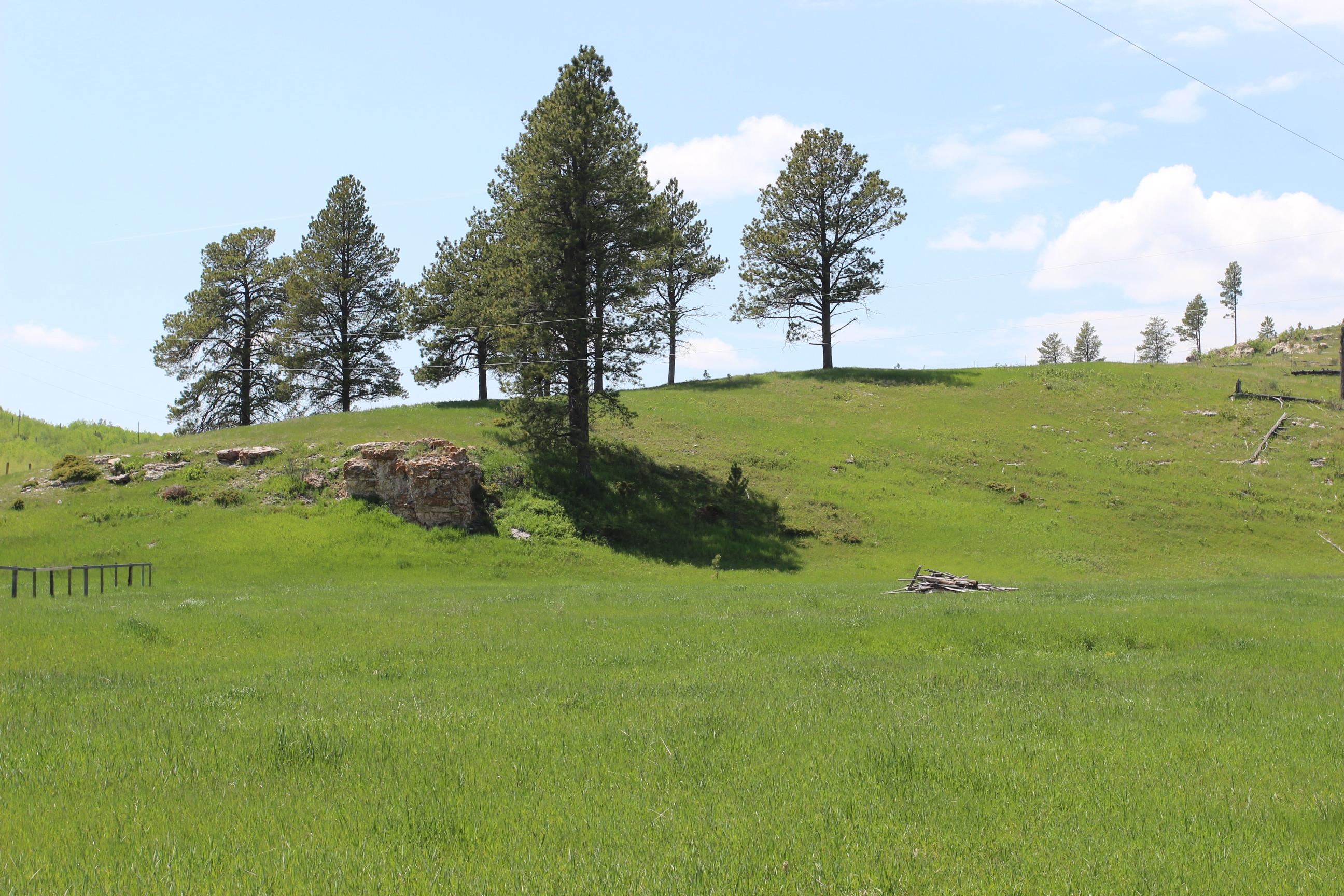 11246 Custer Limestone Road Property Photo 4