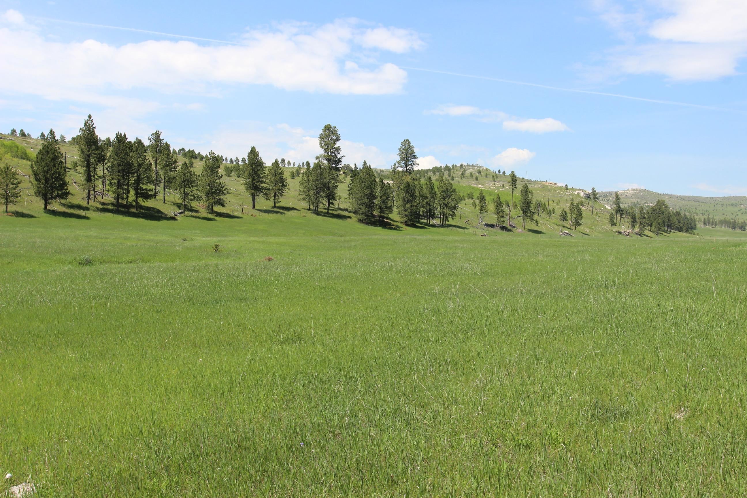 11246 Custer Limestone Road Property Photo 6