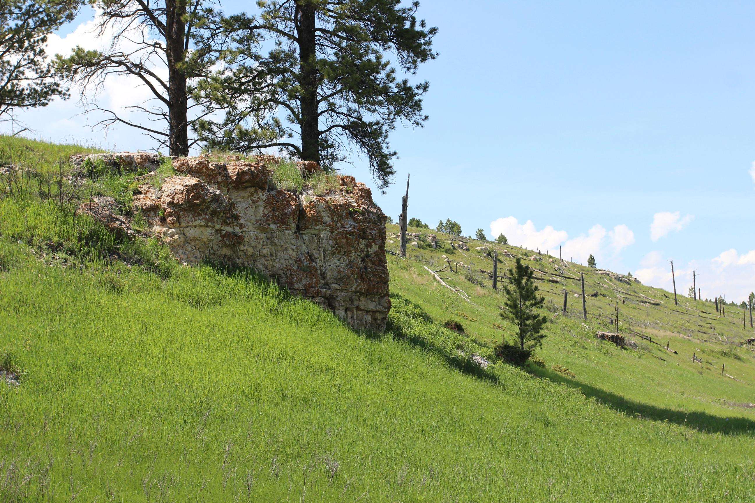 11246 Custer Limestone Road Property Photo 8