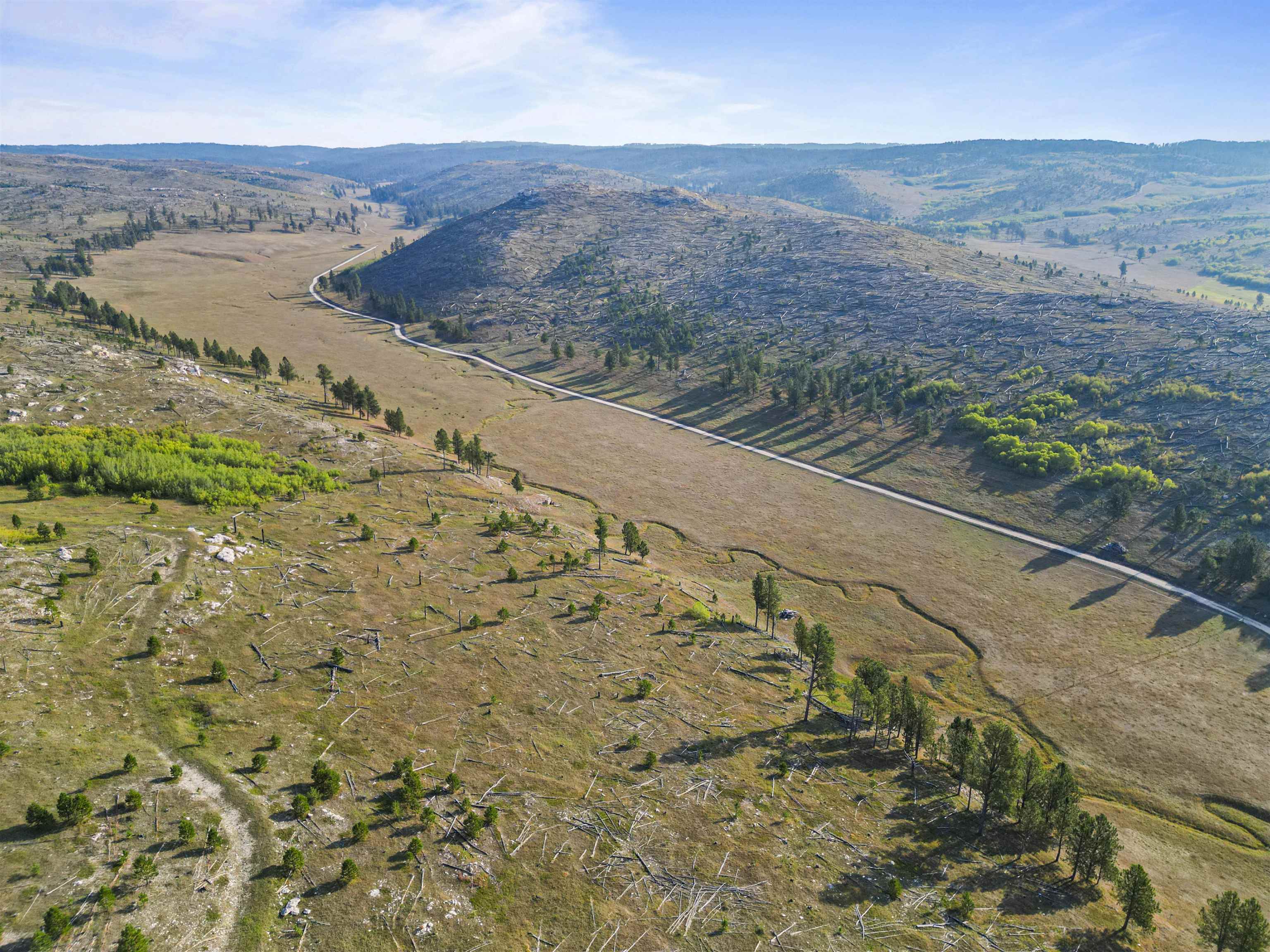 11246 Custer Limestone Road Property Photo 10