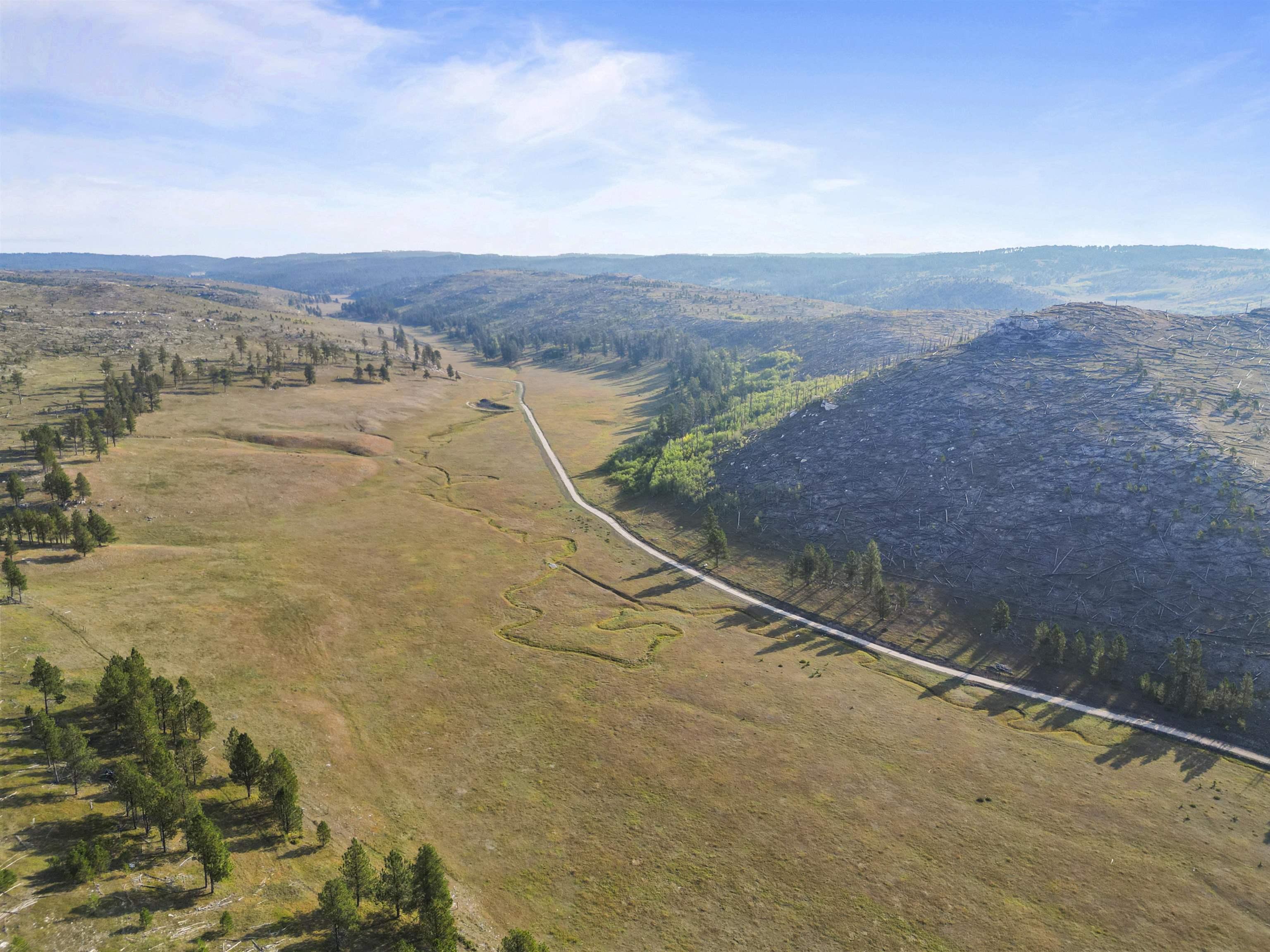 11246 Custer Limestone Road Property Photo 13