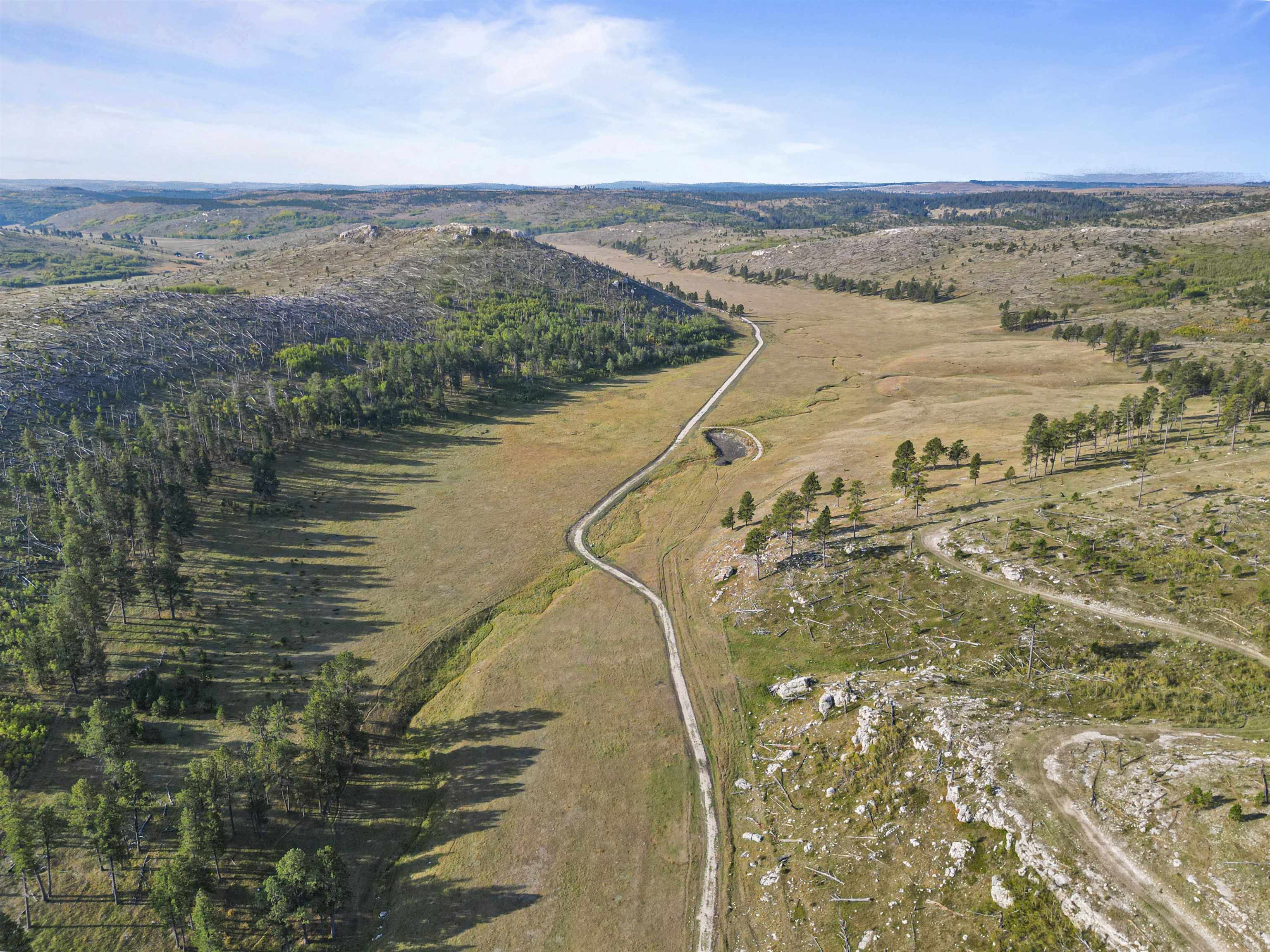 11246 Custer Limestone Road Property Photo 15