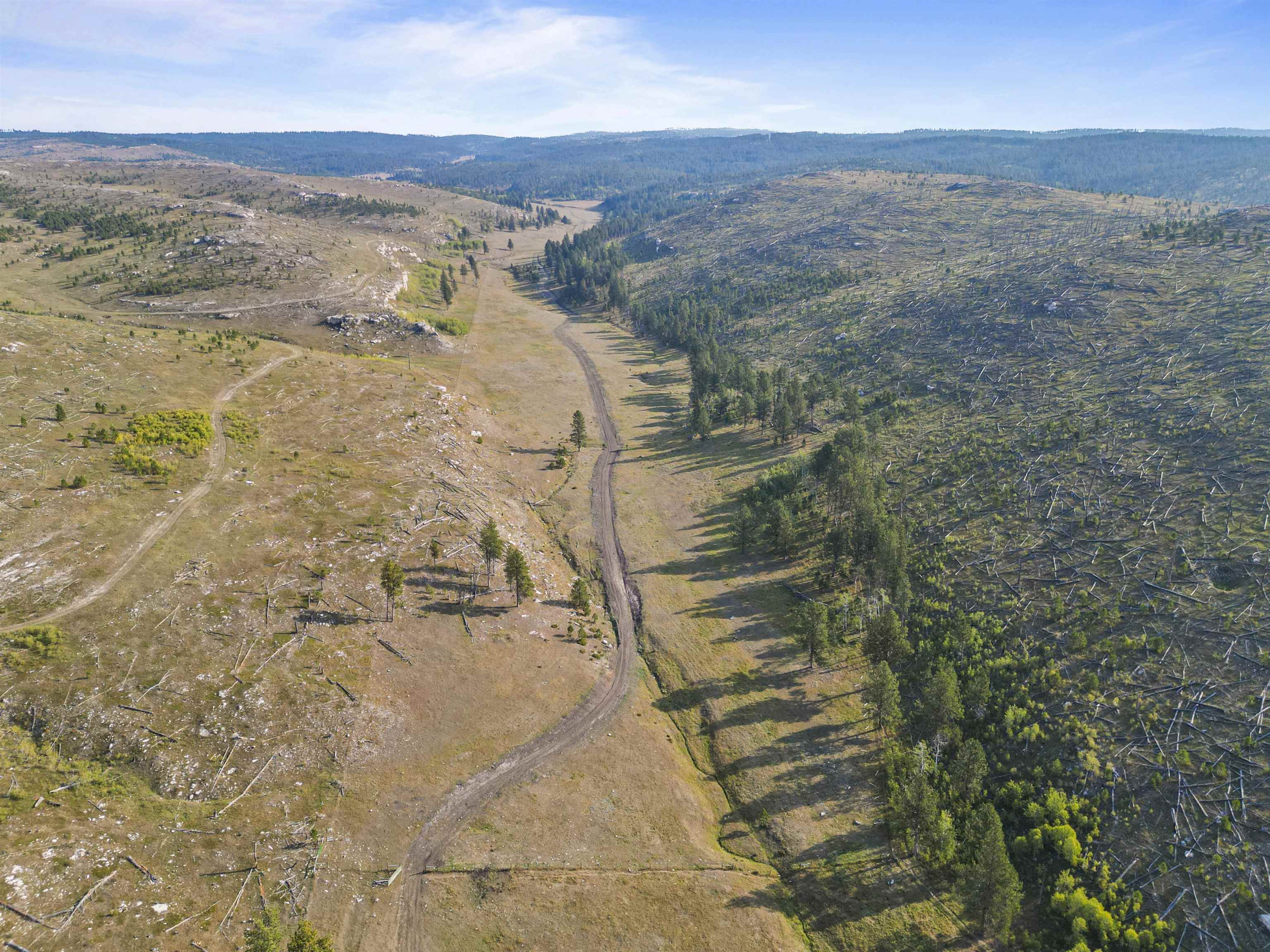 11246 Custer Limestone Road Property Photo 16