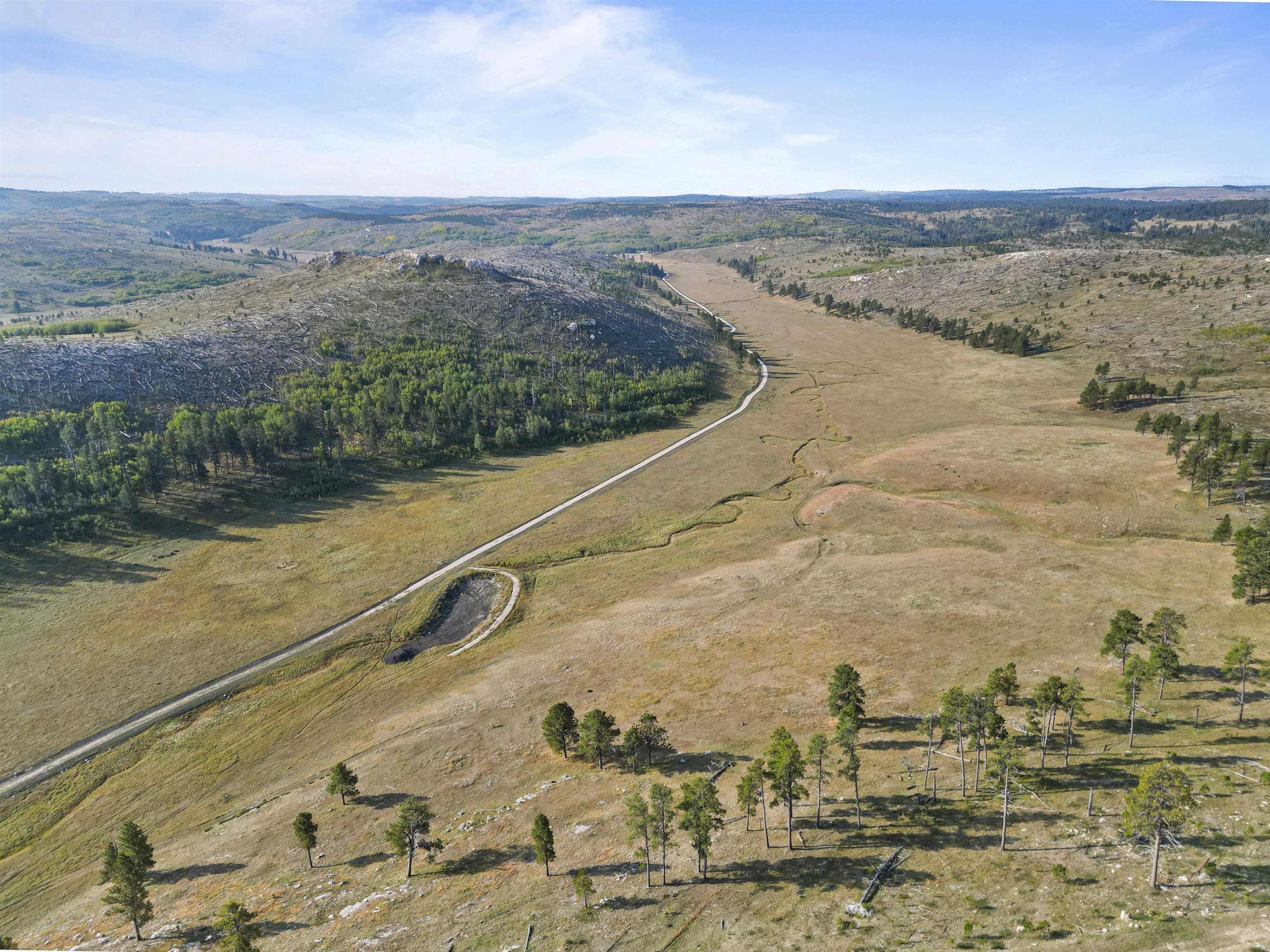 11246 Custer Limestone Road Property Photo 17
