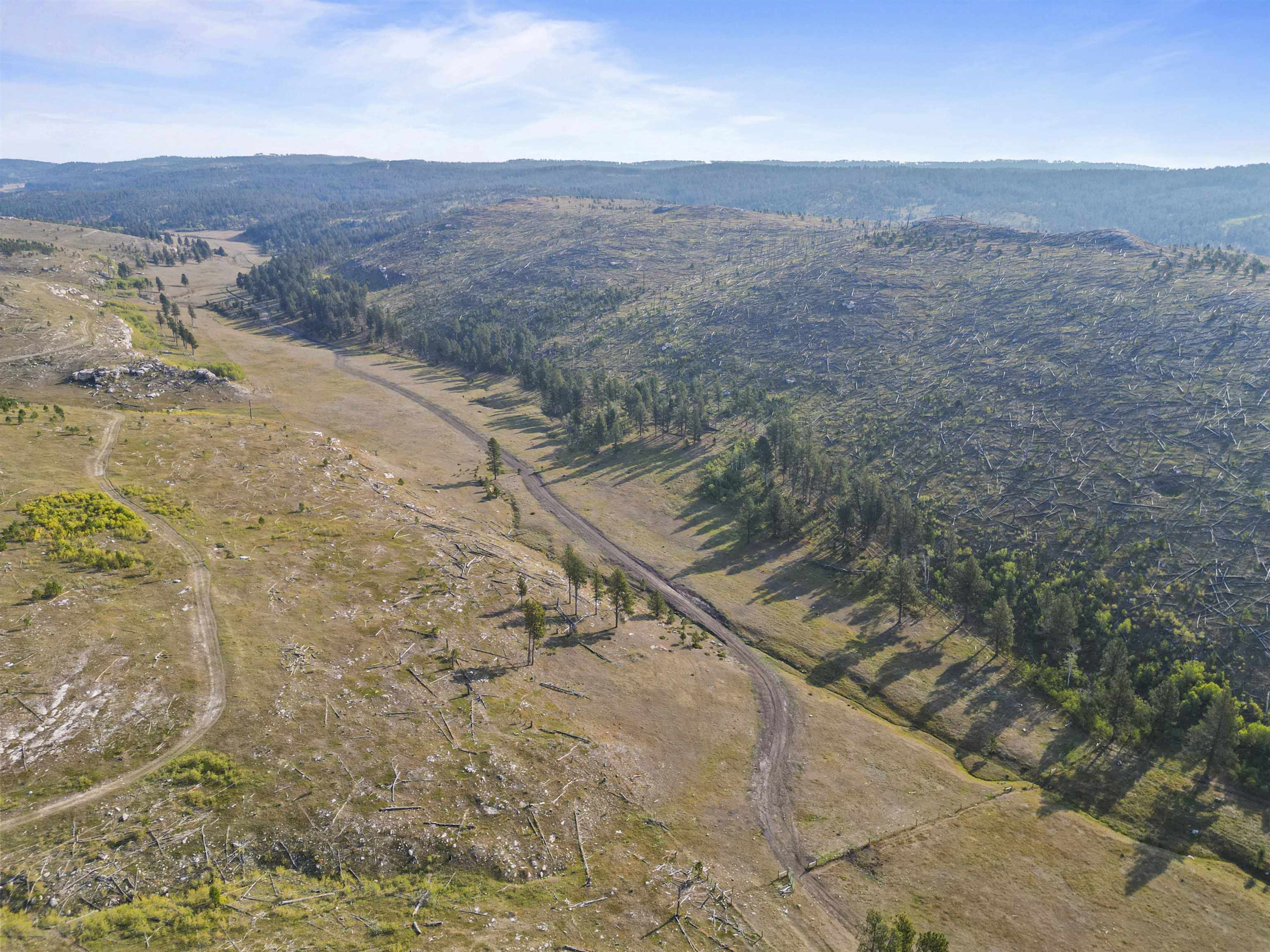 11246 Custer Limestone Road Property Photo 18