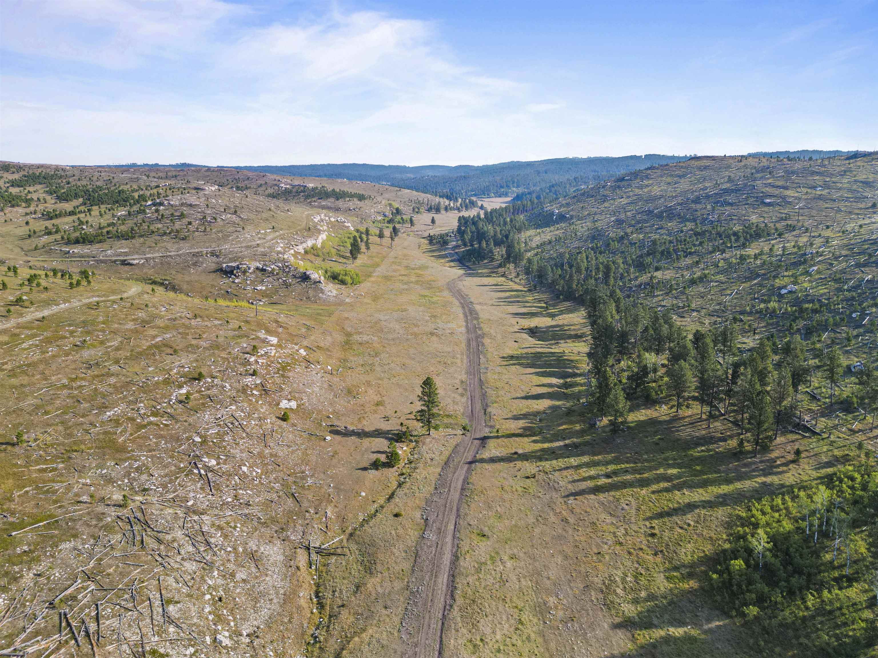 11246 Custer Limestone Road Property Photo 19