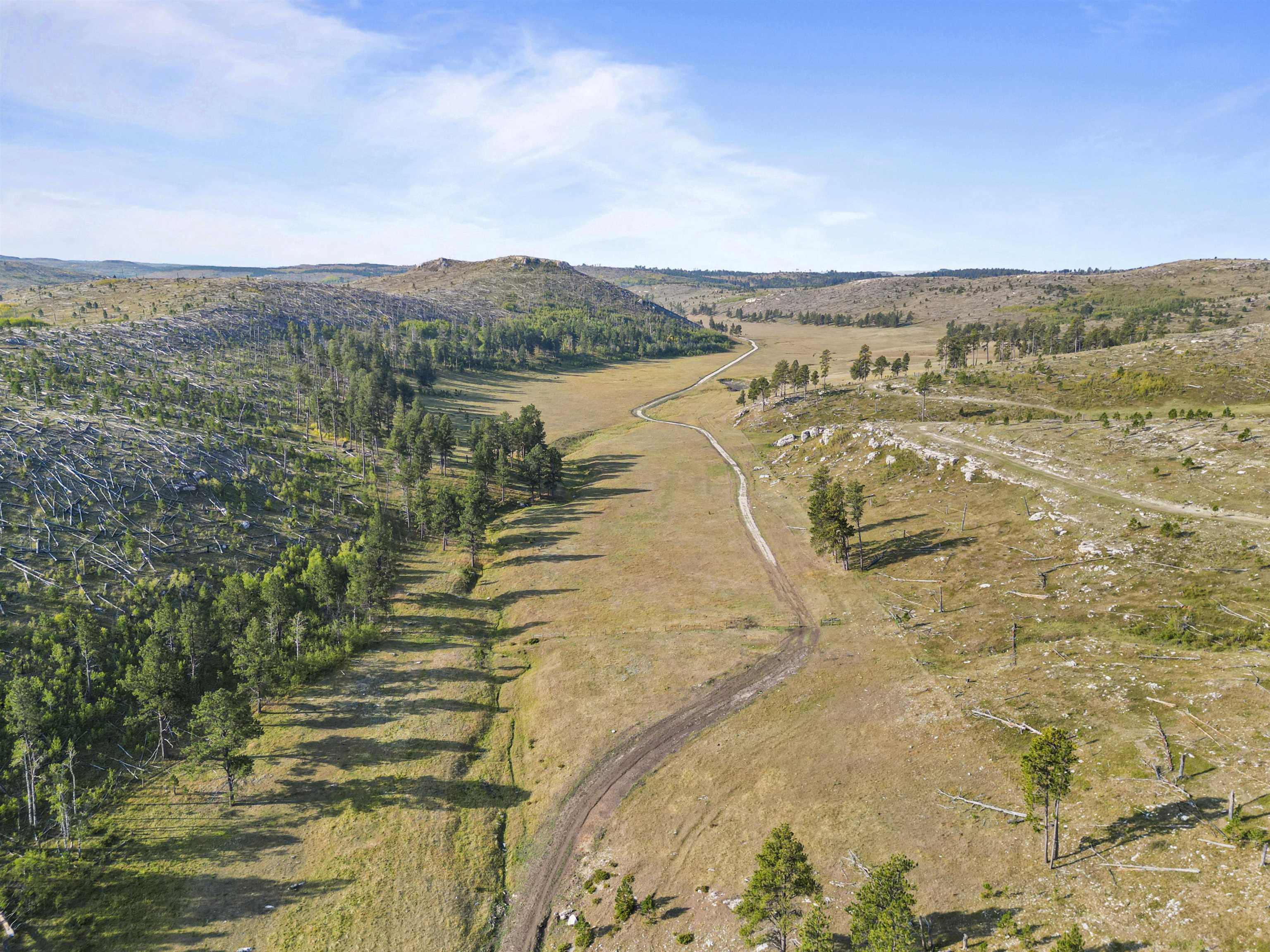 11246 Custer Limestone Road Property Photo 20