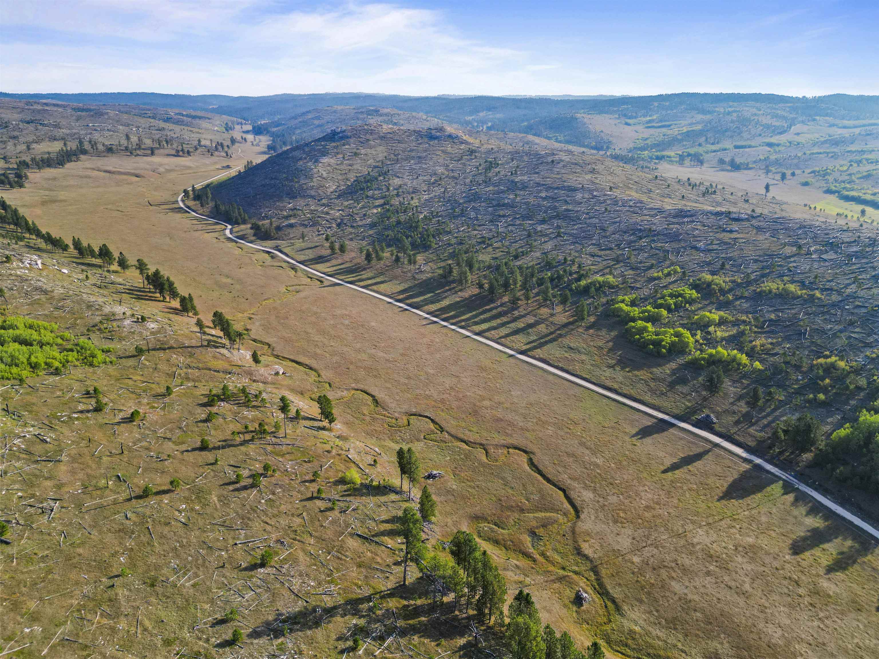 11246 Custer Limestone Road Property Photo 22