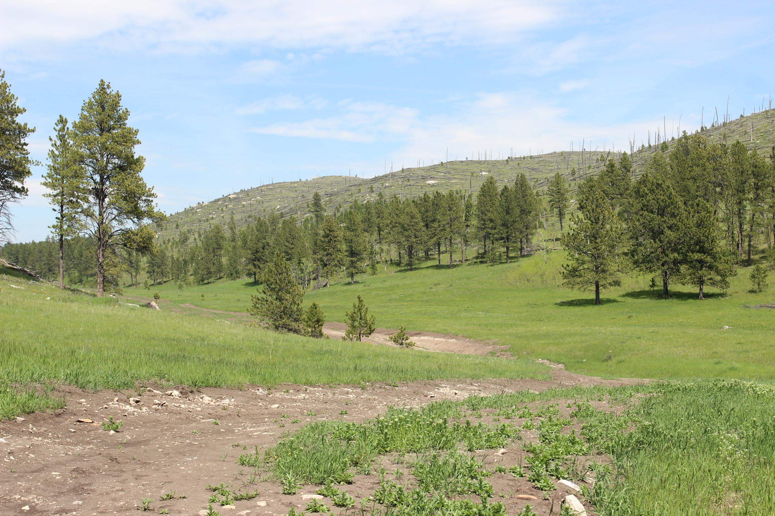 11246 Custer Limestone Road Property Photo 24