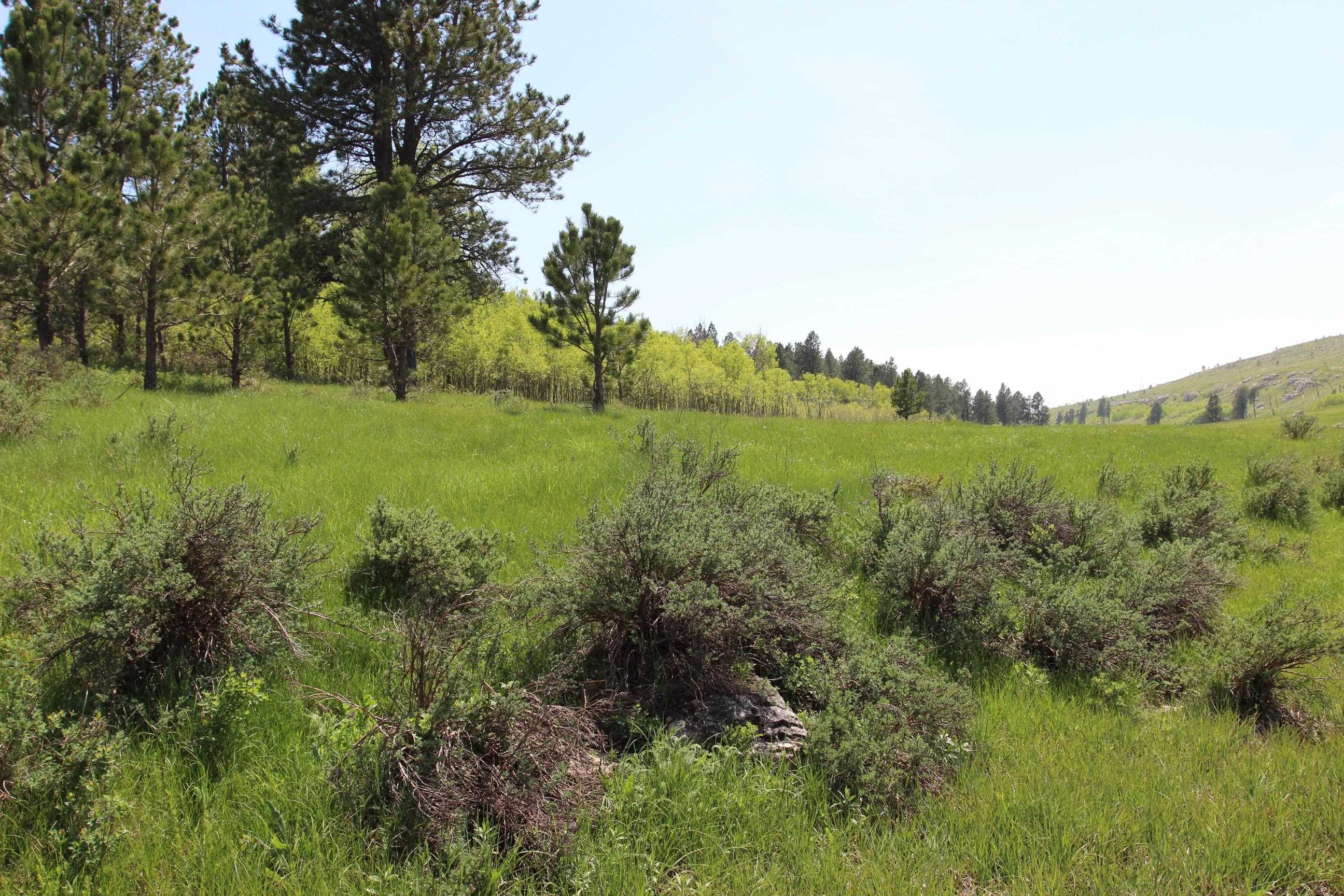 11246 Custer Limestone Road Property Photo 25