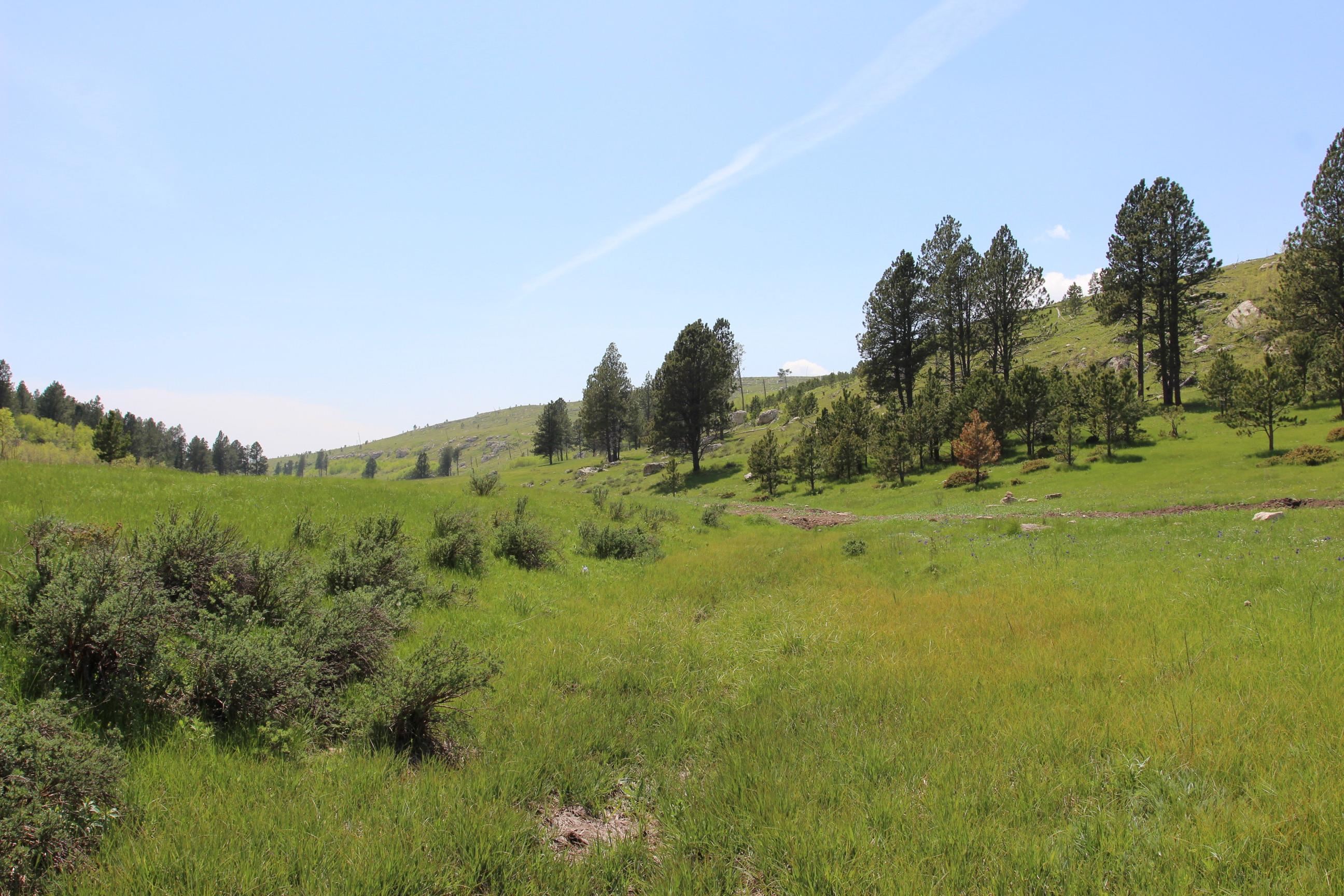 11246 Custer Limestone Road Property Photo 27