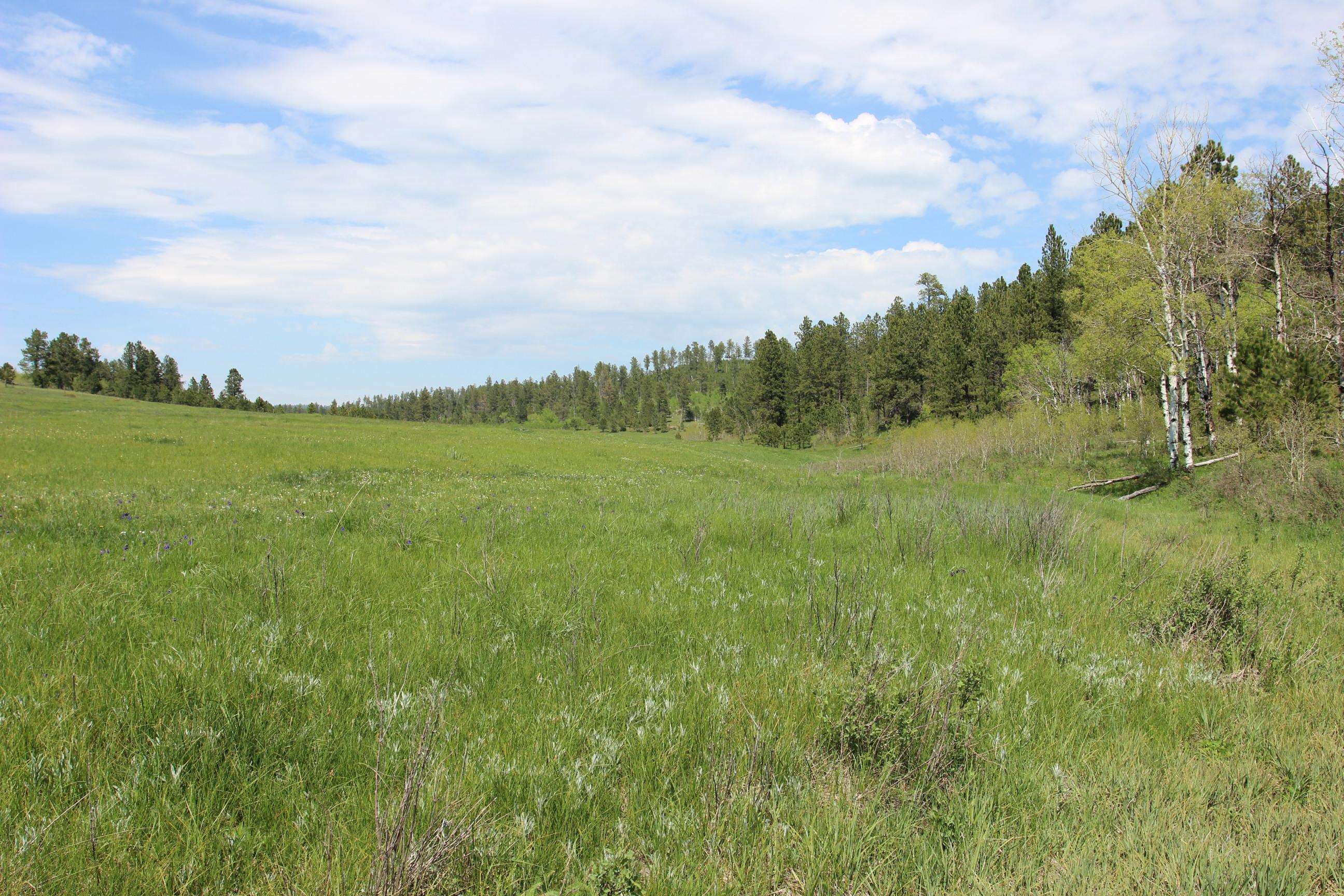 11246 Custer Limestone Road Property Photo 28