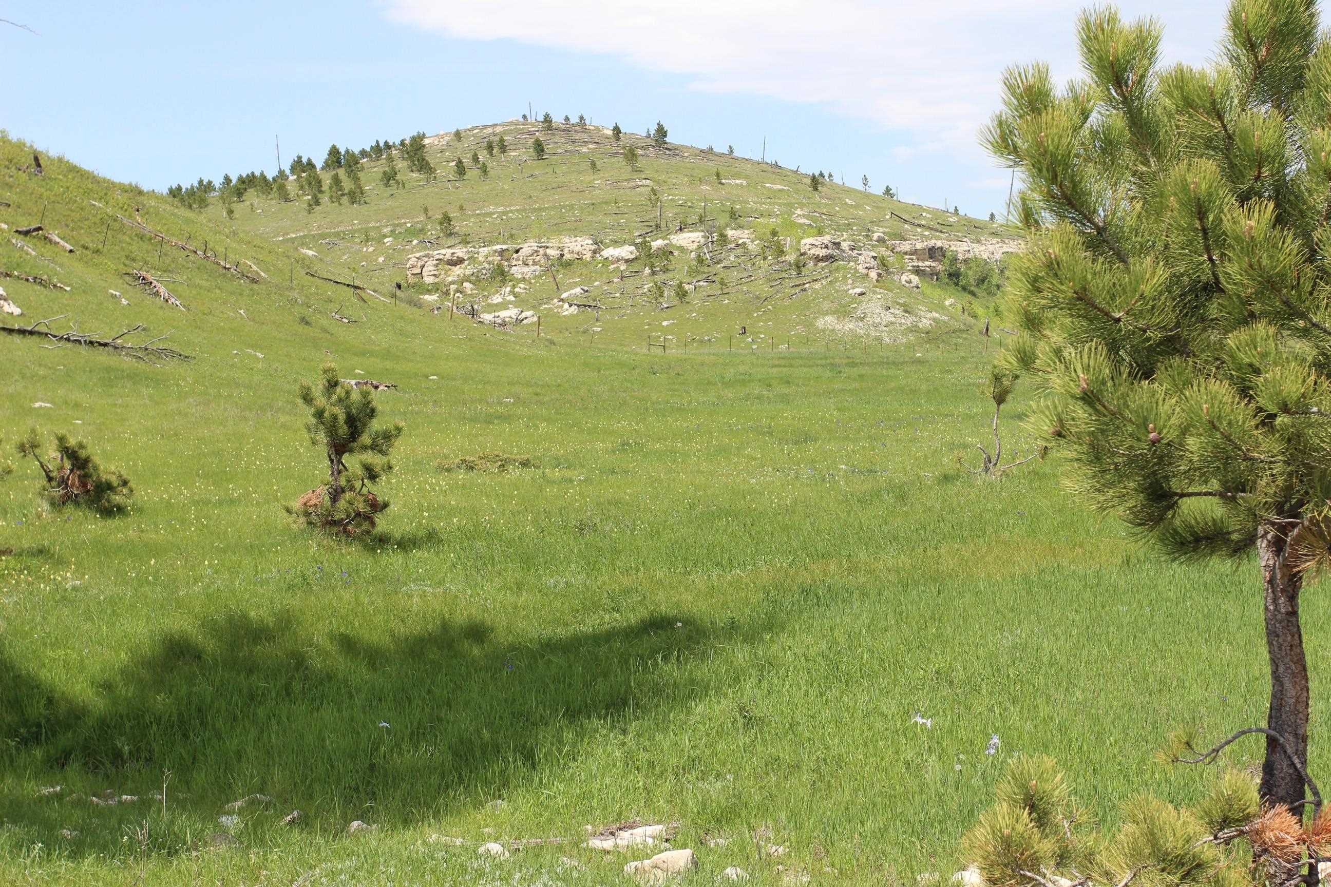 11246 Custer Limestone Road Property Photo 29