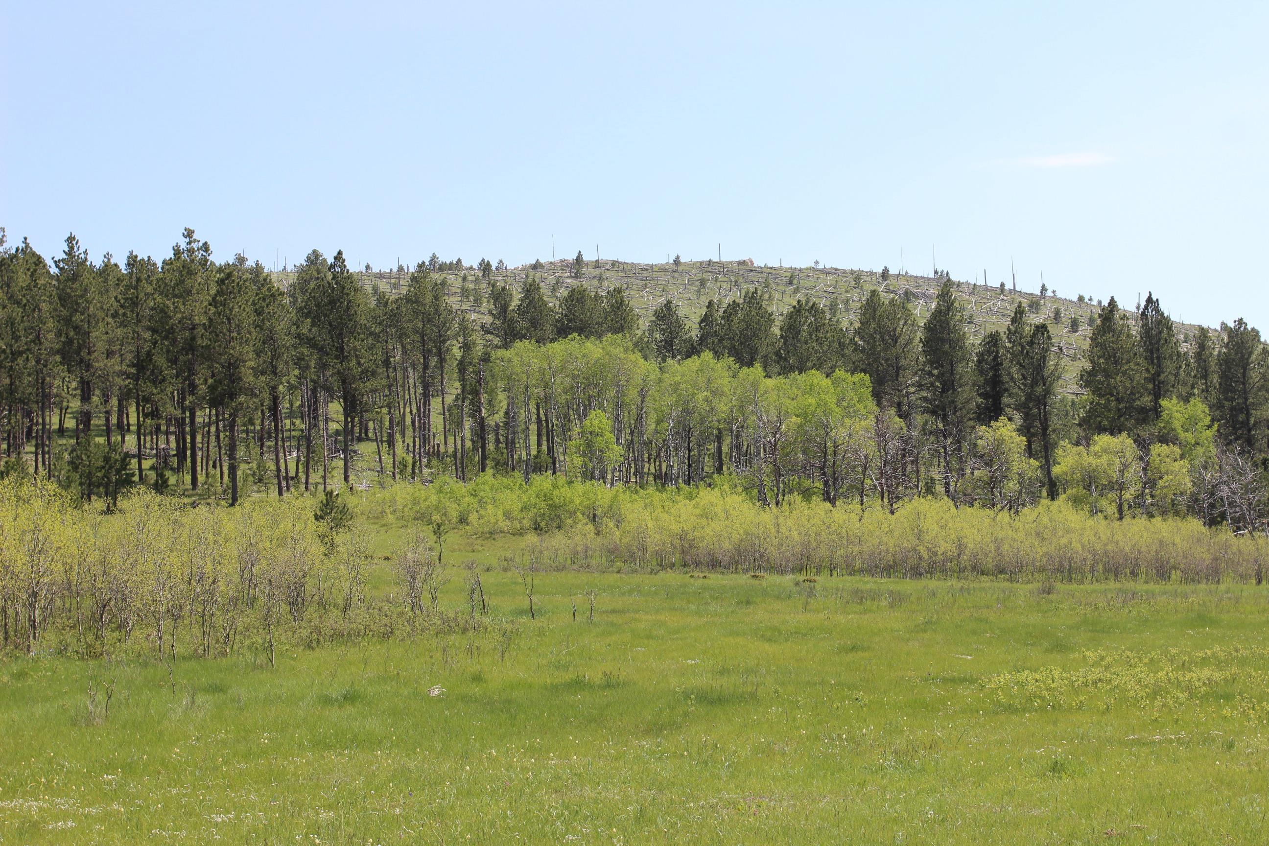 11246 Custer Limestone Road Property Photo 31