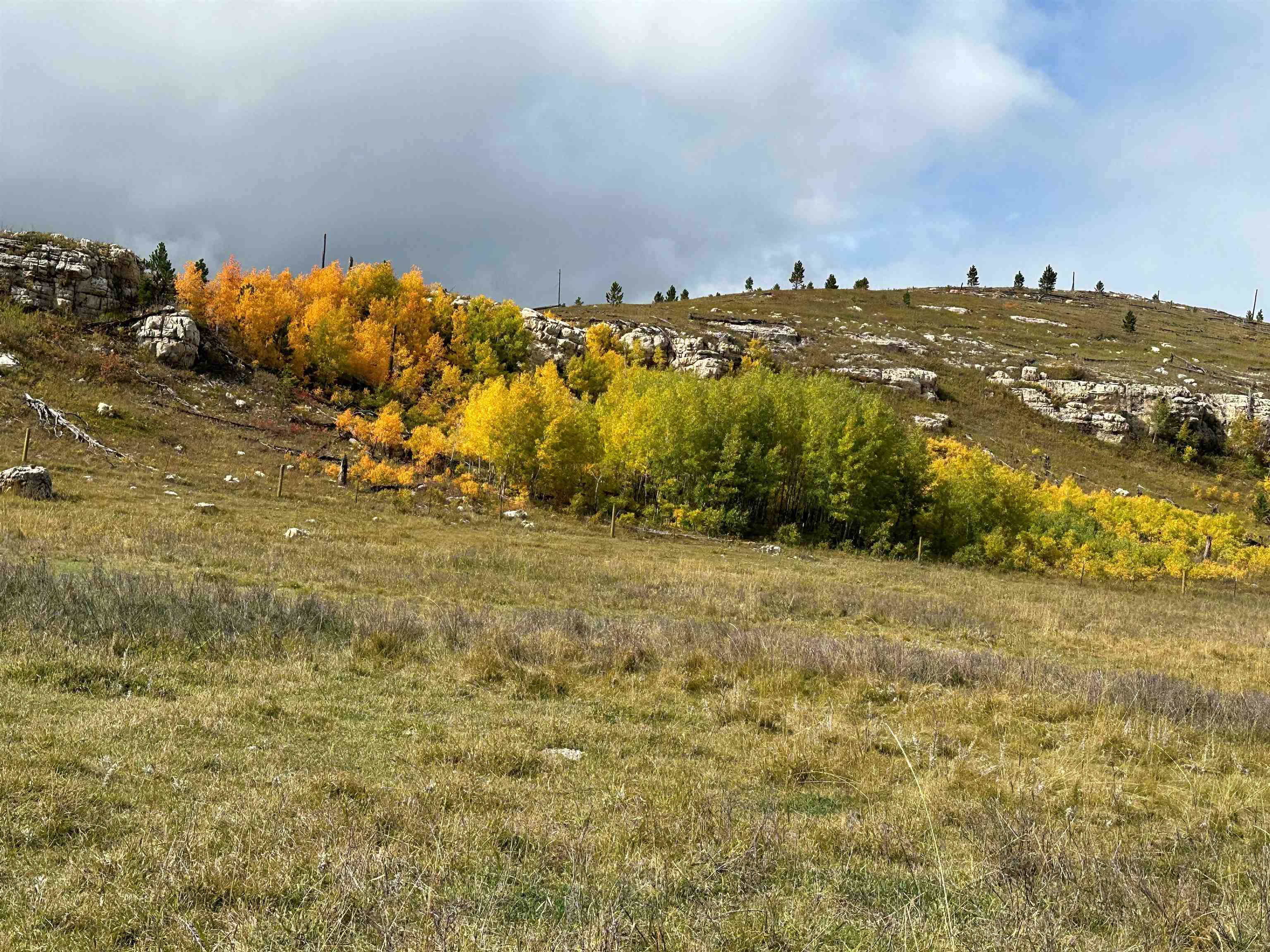 11246 Custer Limestone Road Property Photo 32
