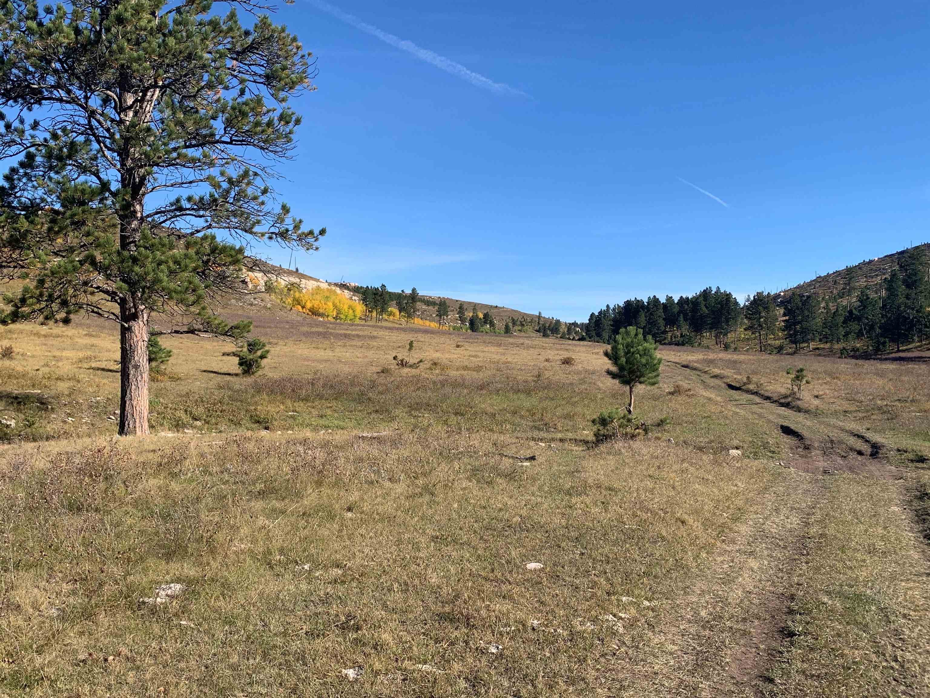 11246 Custer Limestone Road Property Photo 33