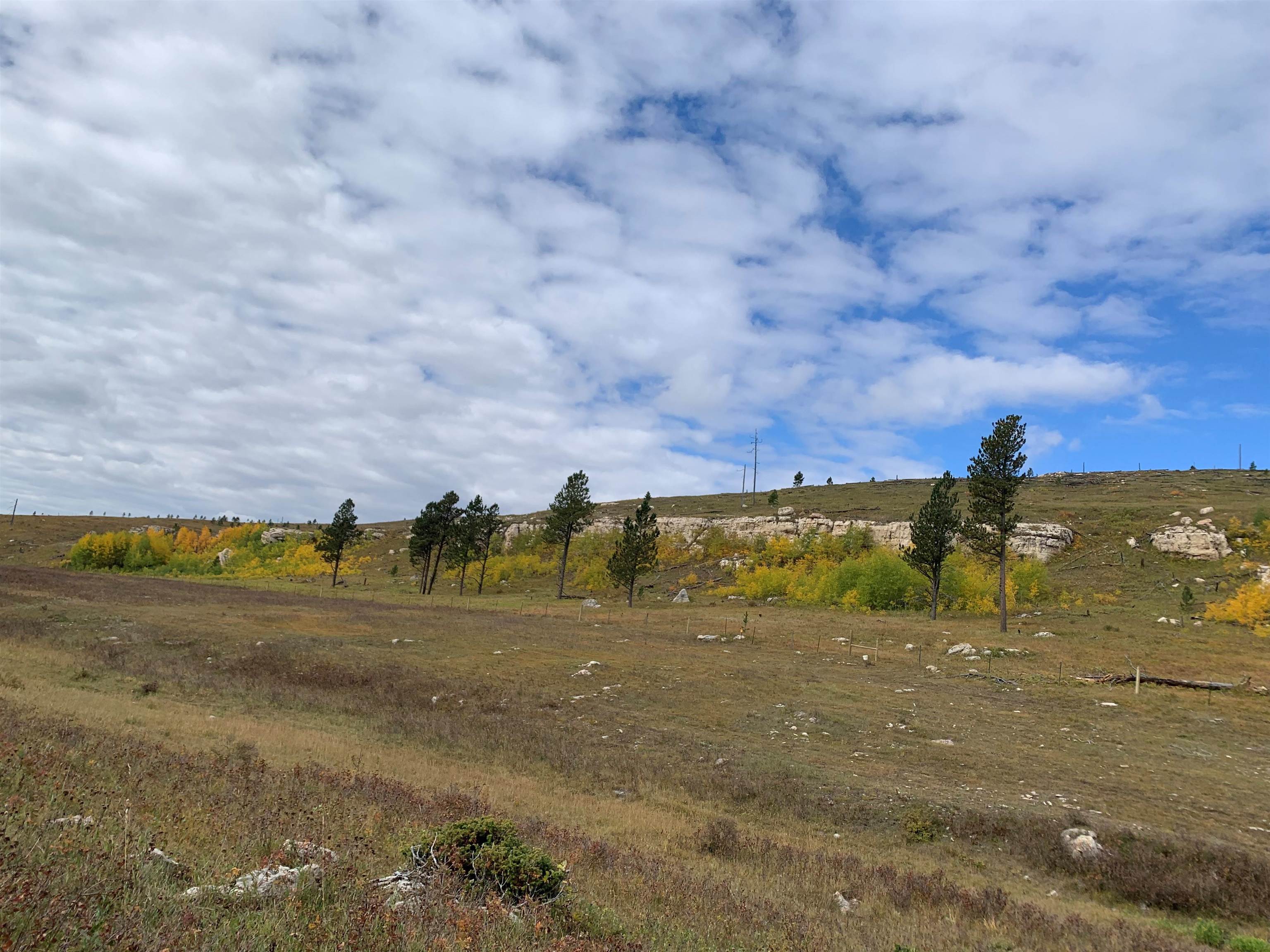 11246 Custer Limestone Road Property Photo 34