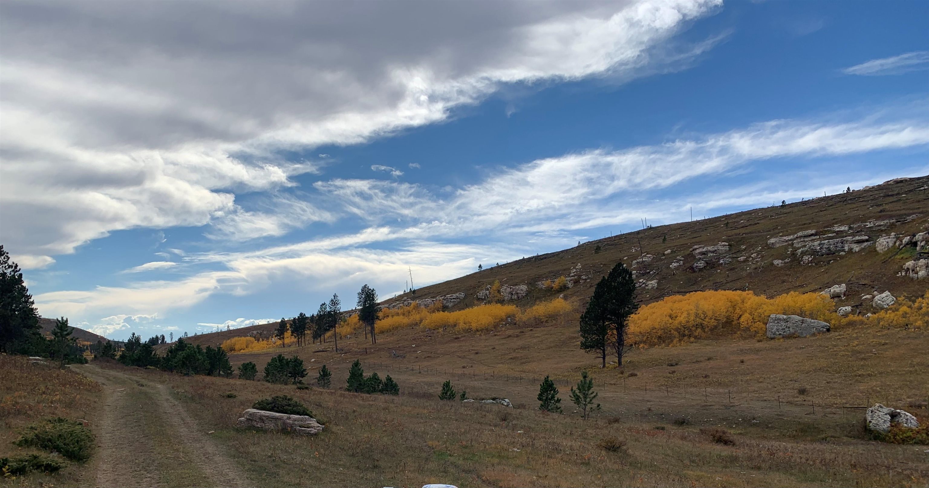 11246 Custer Limestone Road Property Photo 35