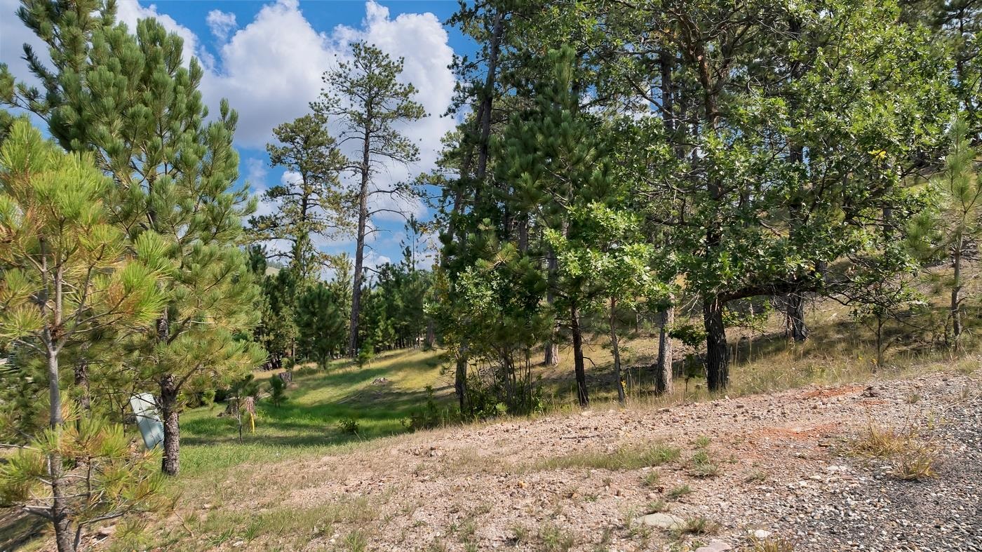 Tbd Oak Property Photo 7