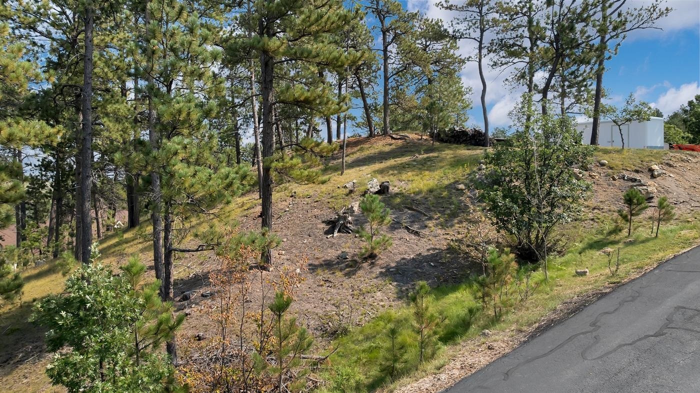 Tbd Oak Property Photo 18