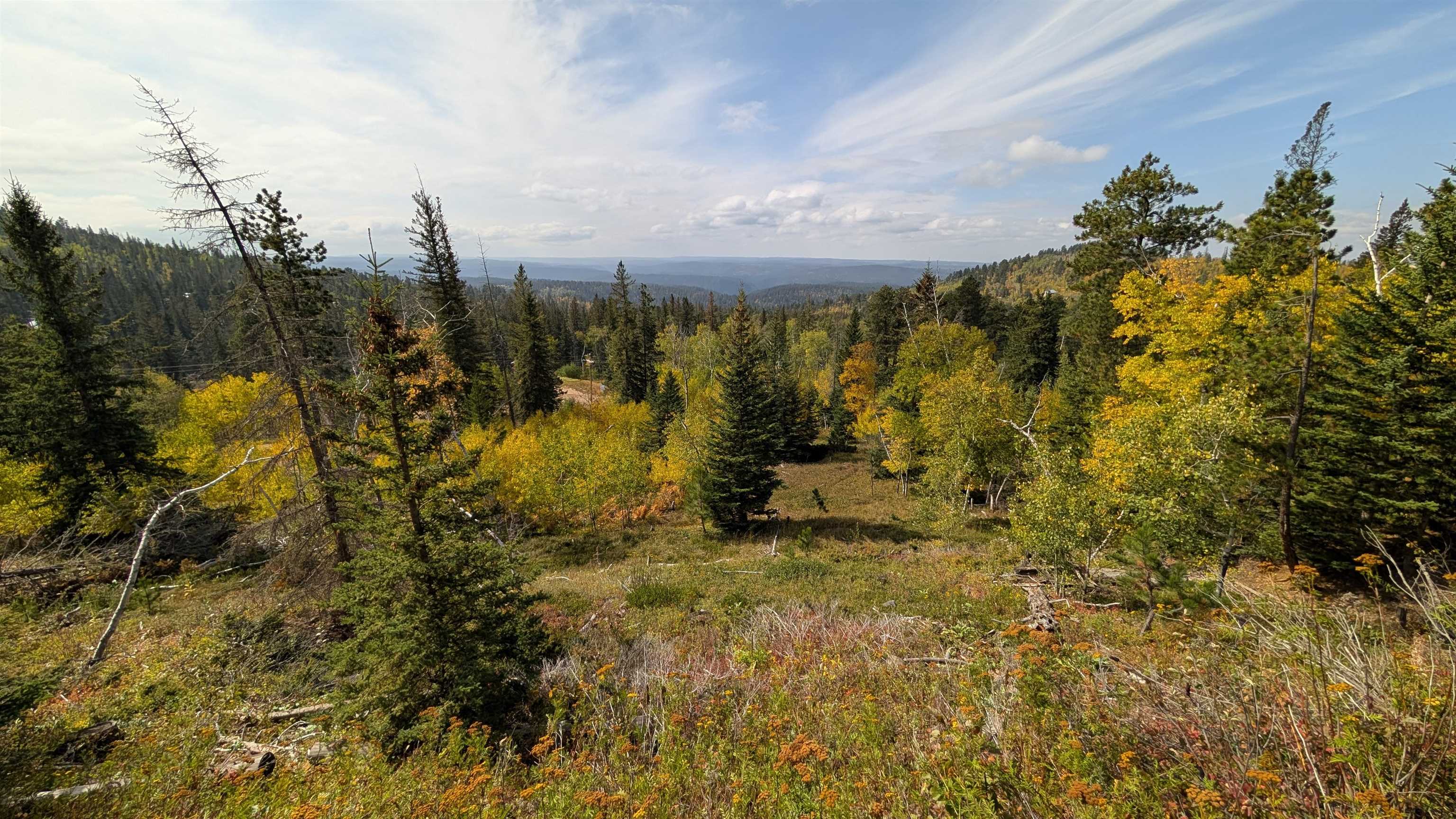 Ms 2066 Moose Trail Property Photo 1