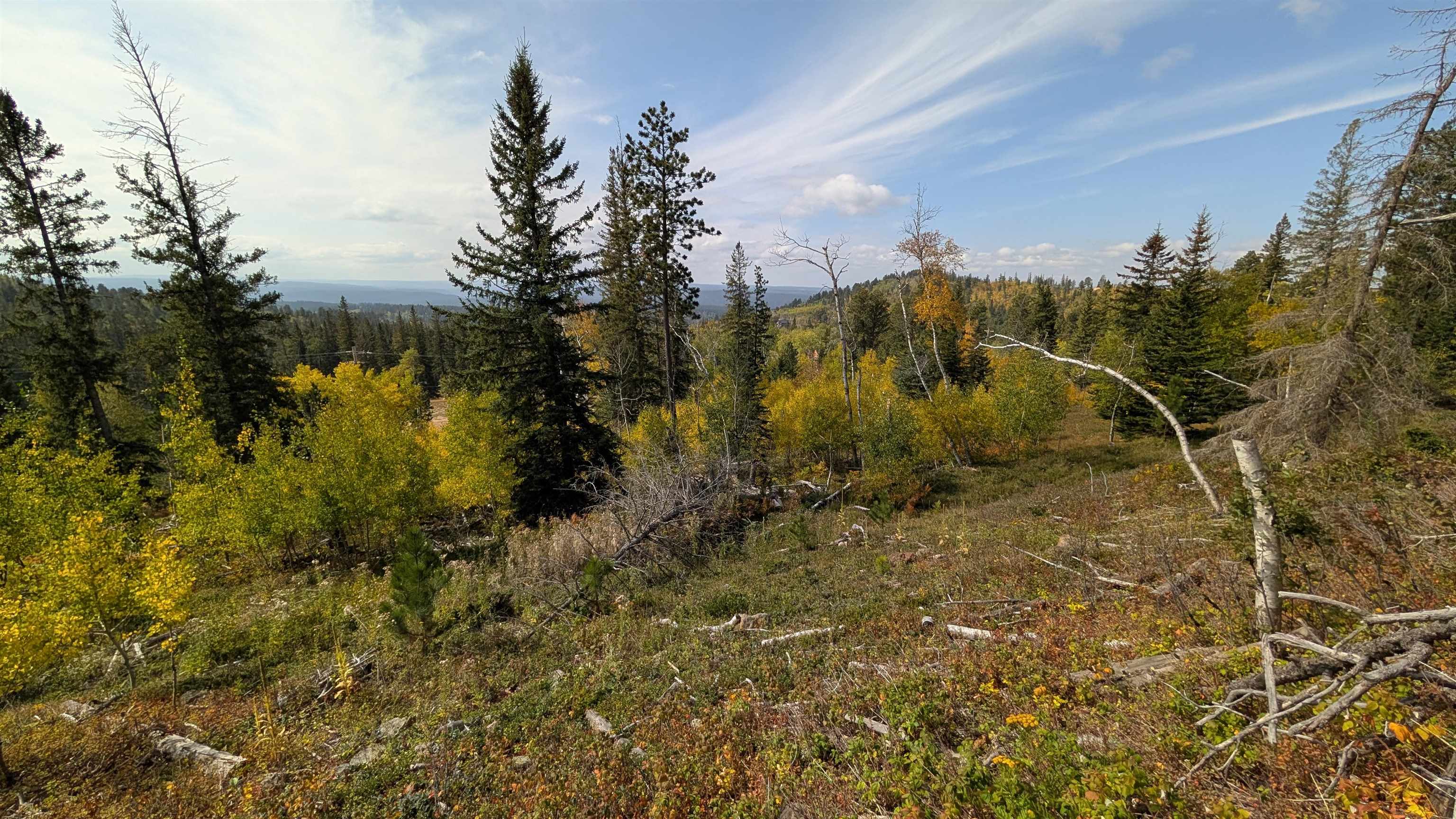 Ms 2066 Moose Trail Property Photo 2