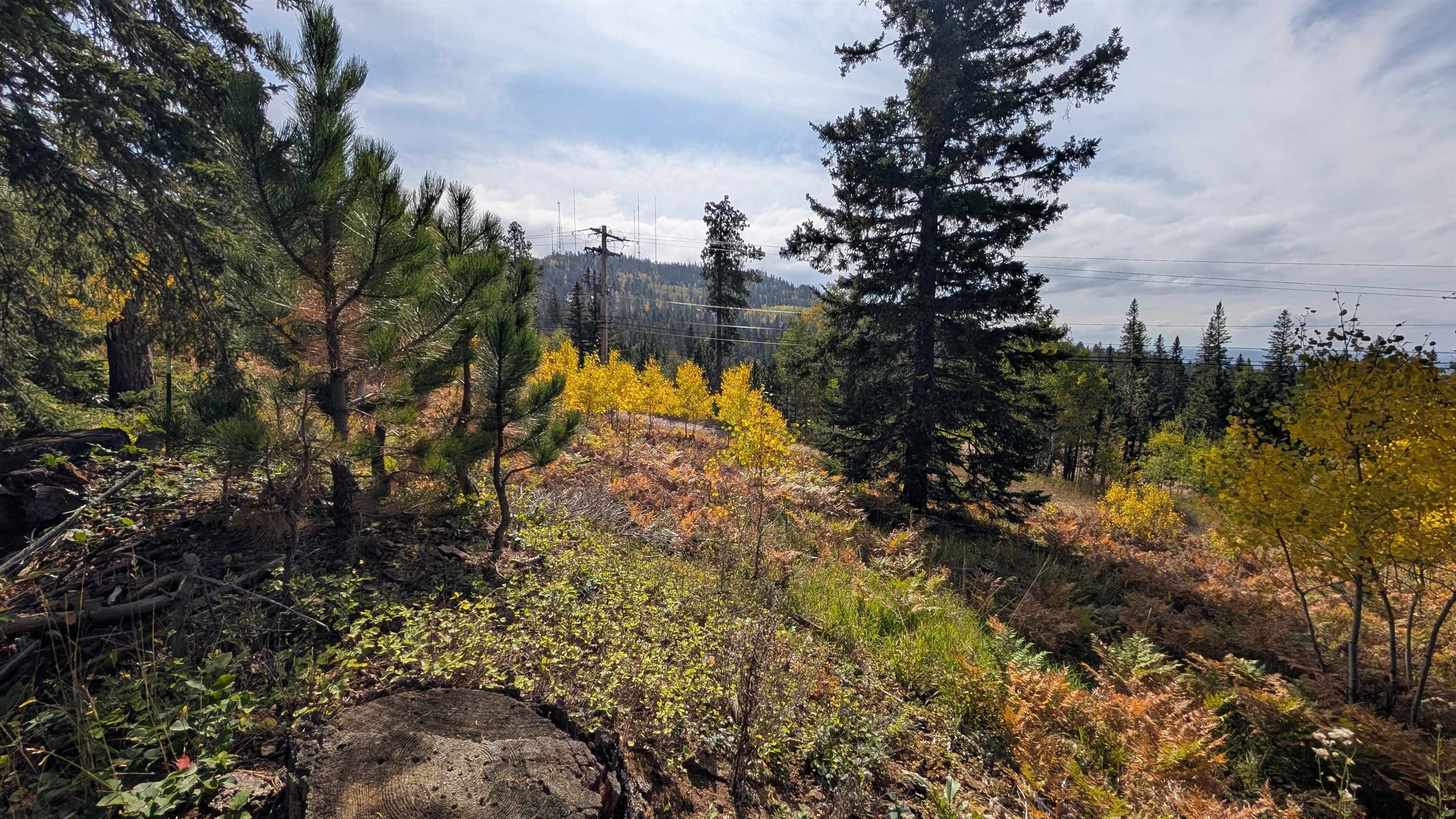 Ms 2066 Moose Trail Property Photo 3