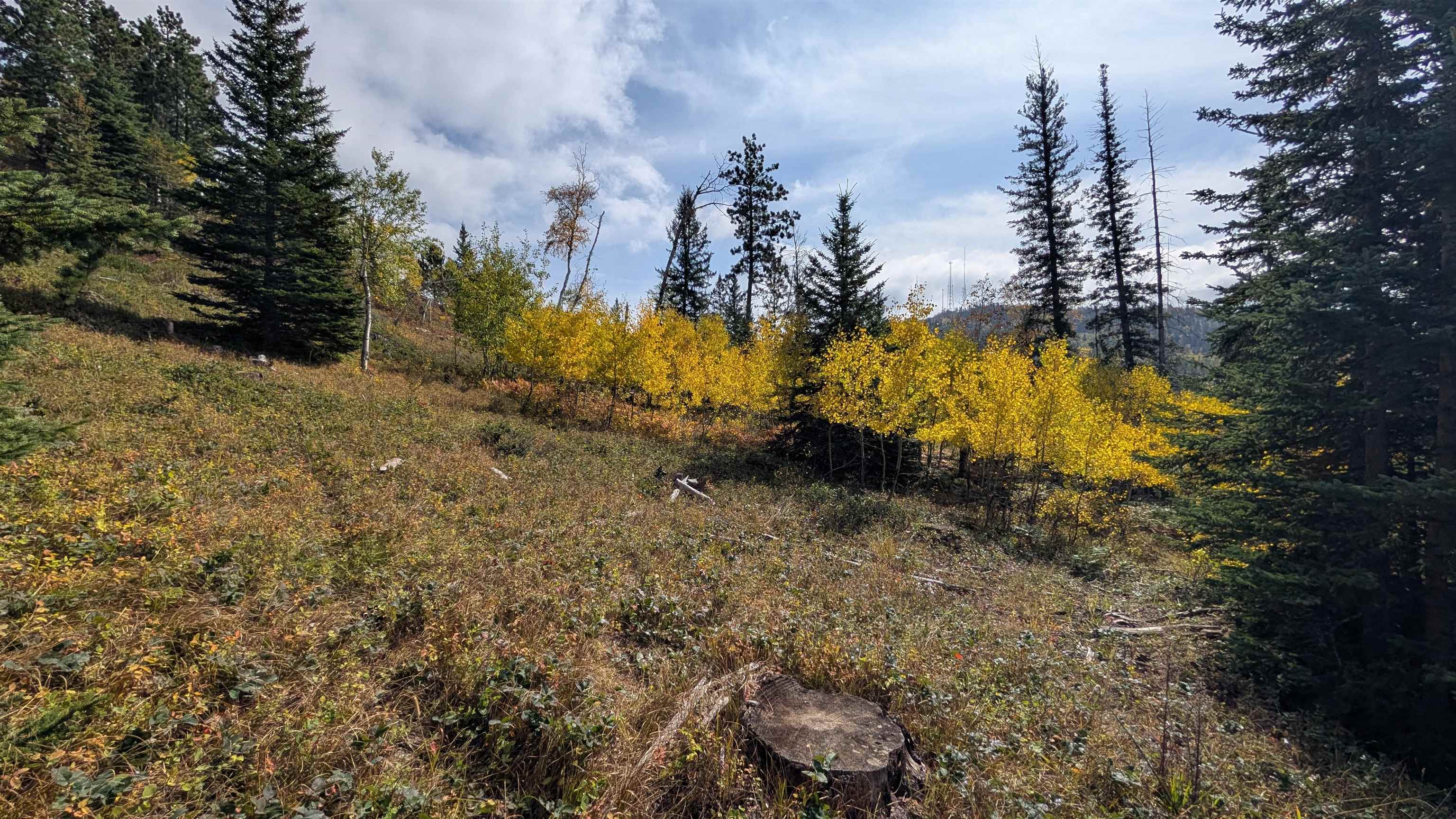 Ms 2066 Moose Trail Property Photo 4