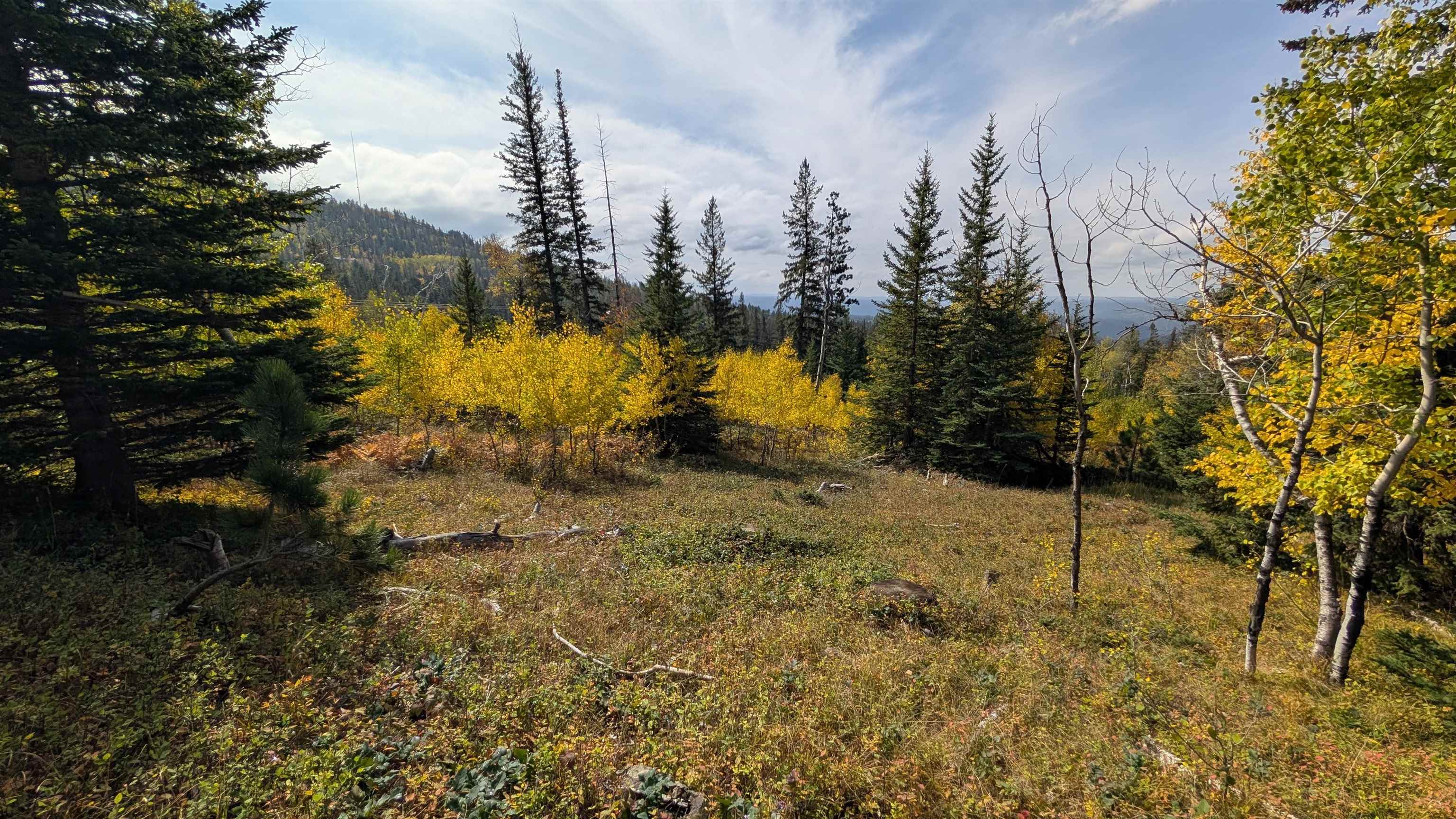 Ms 2066 Moose Trail Property Photo 5