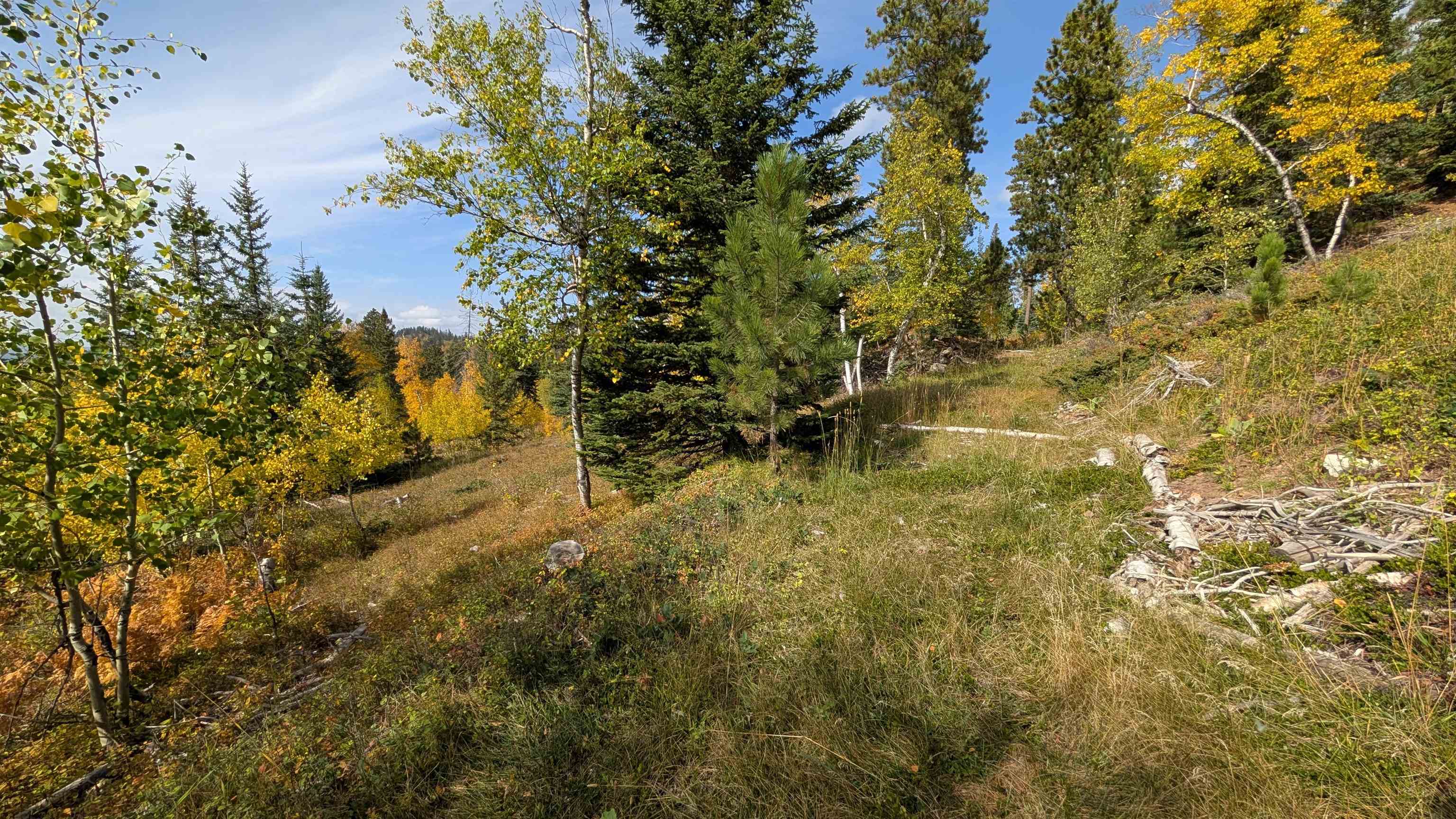 Ms 2066 Moose Trail Property Photo 7