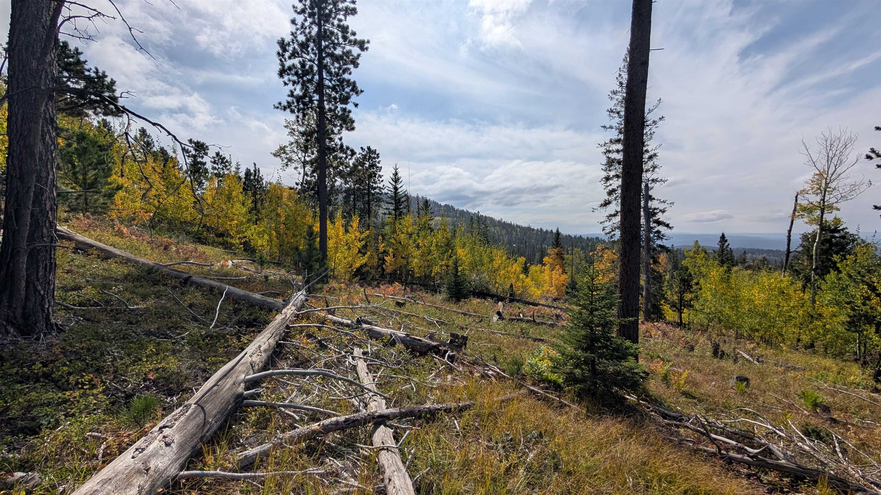 Ms 2066 Moose Trail Property Photo 10