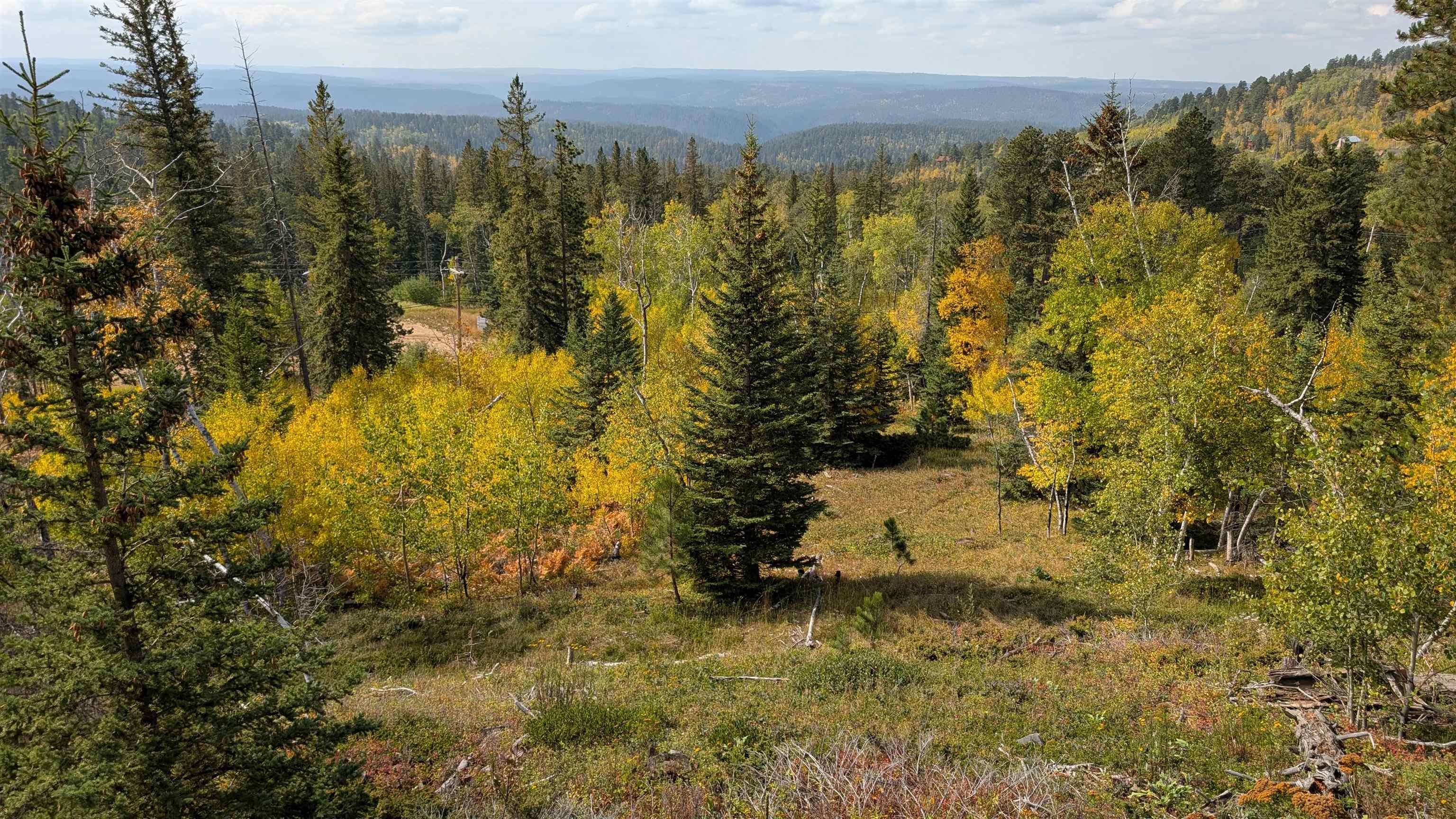 Ms 2066 Moose Trail Property Photo 12