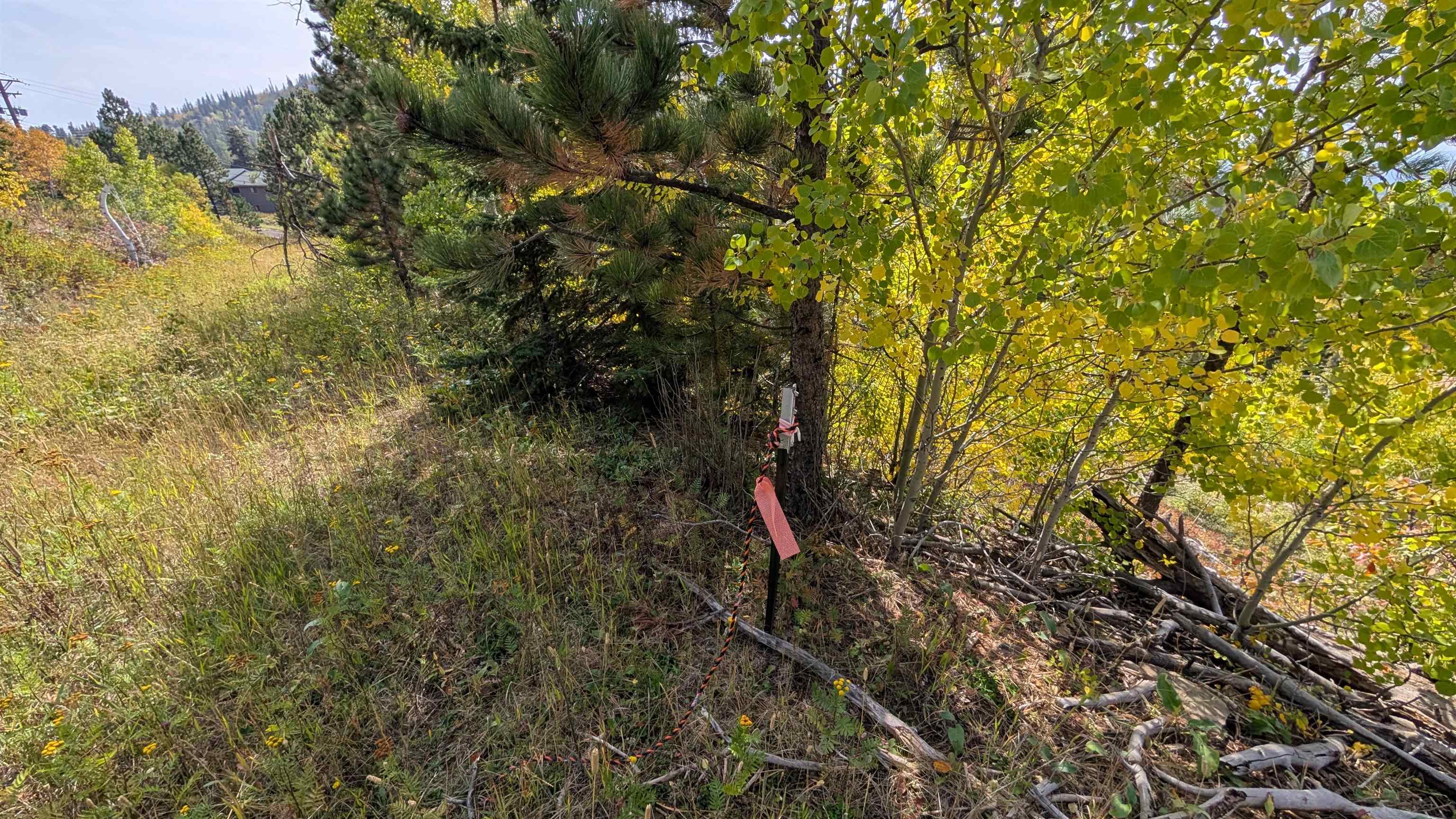 Ms 2066 Moose Trail Property Photo 13