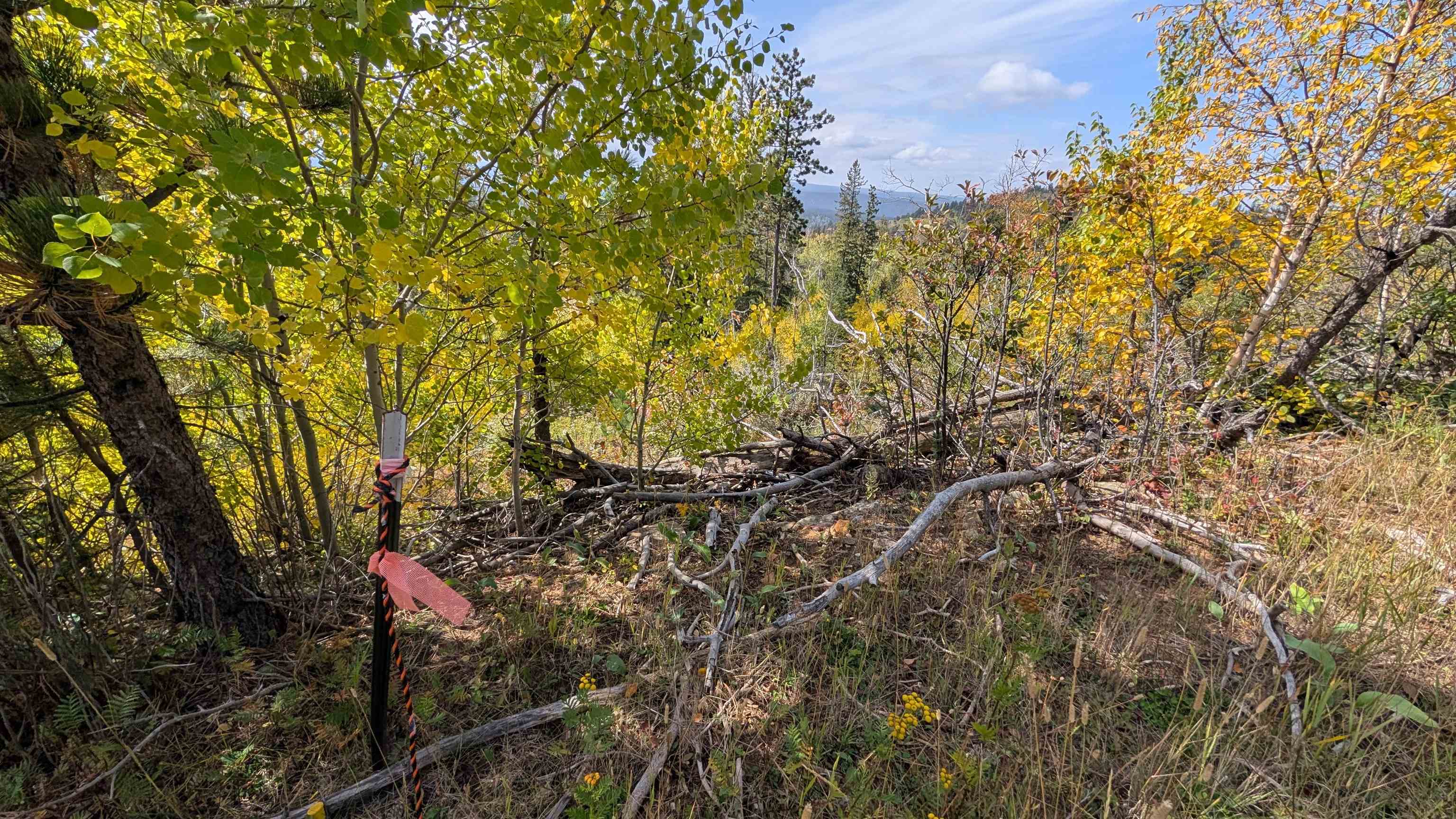 Ms 2066 Moose Trail Property Photo 14