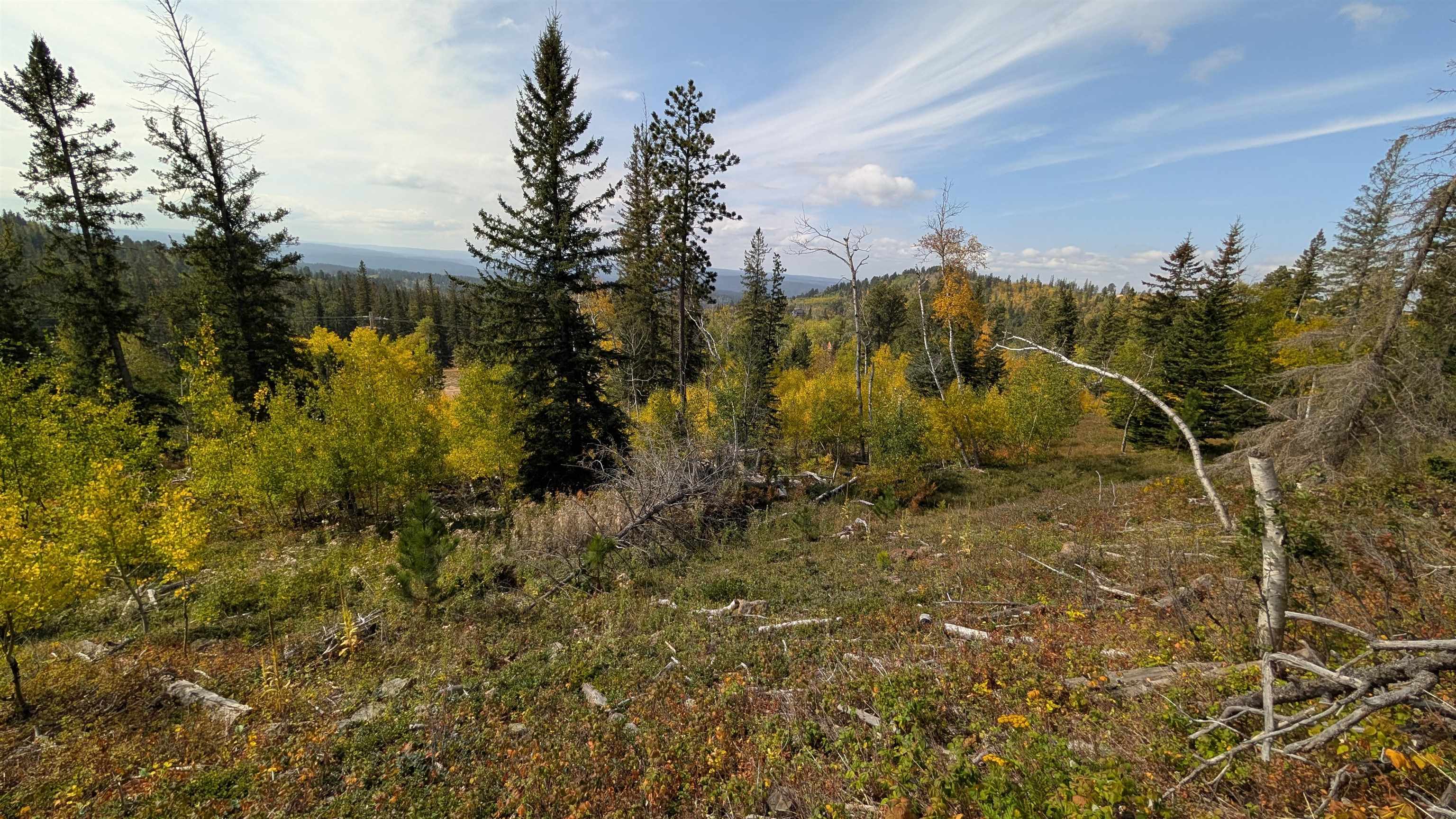 Ms 2066 Moose Trail Property Photo 15