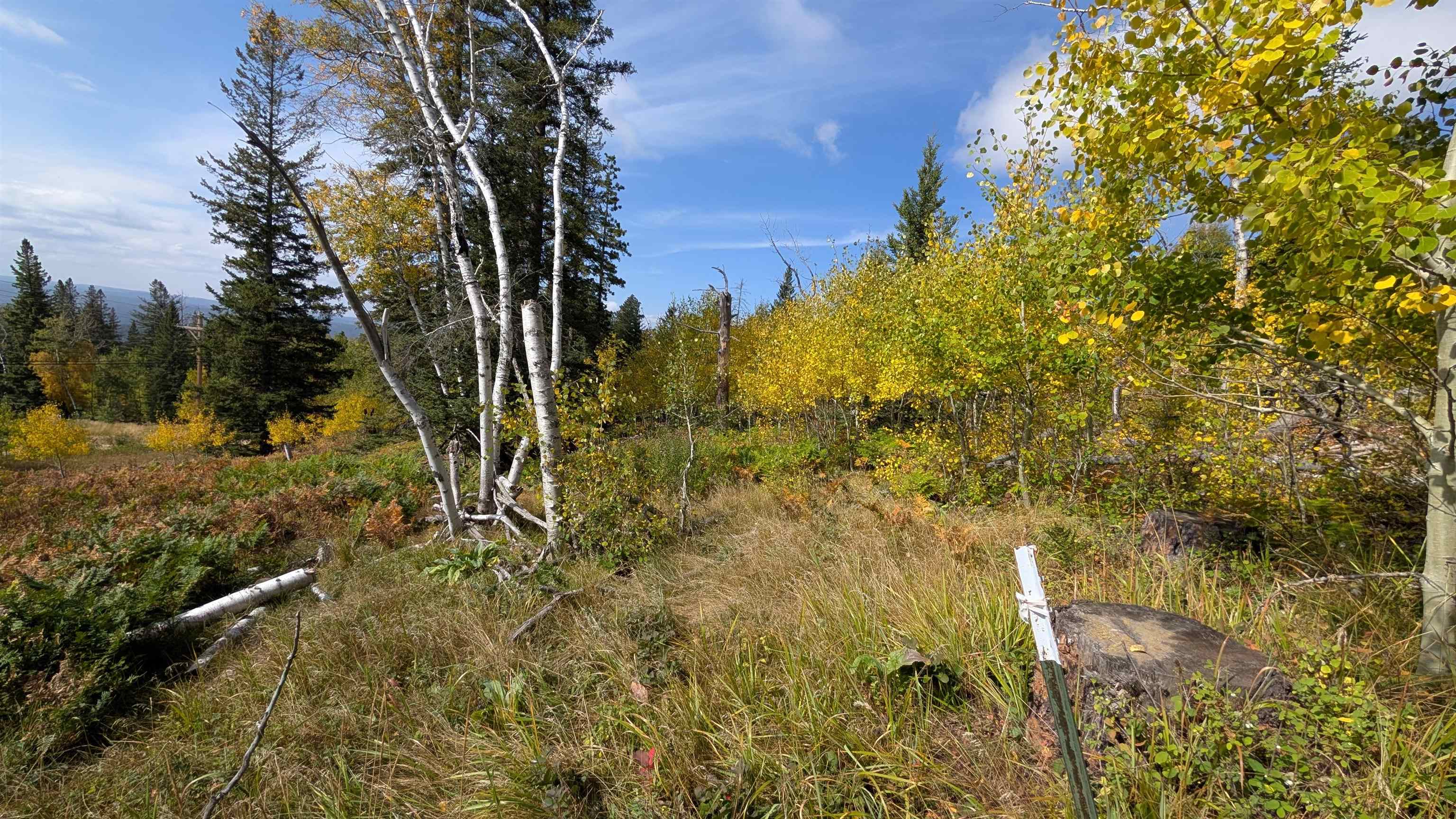 Ms 2066 Moose Trail Property Photo 16