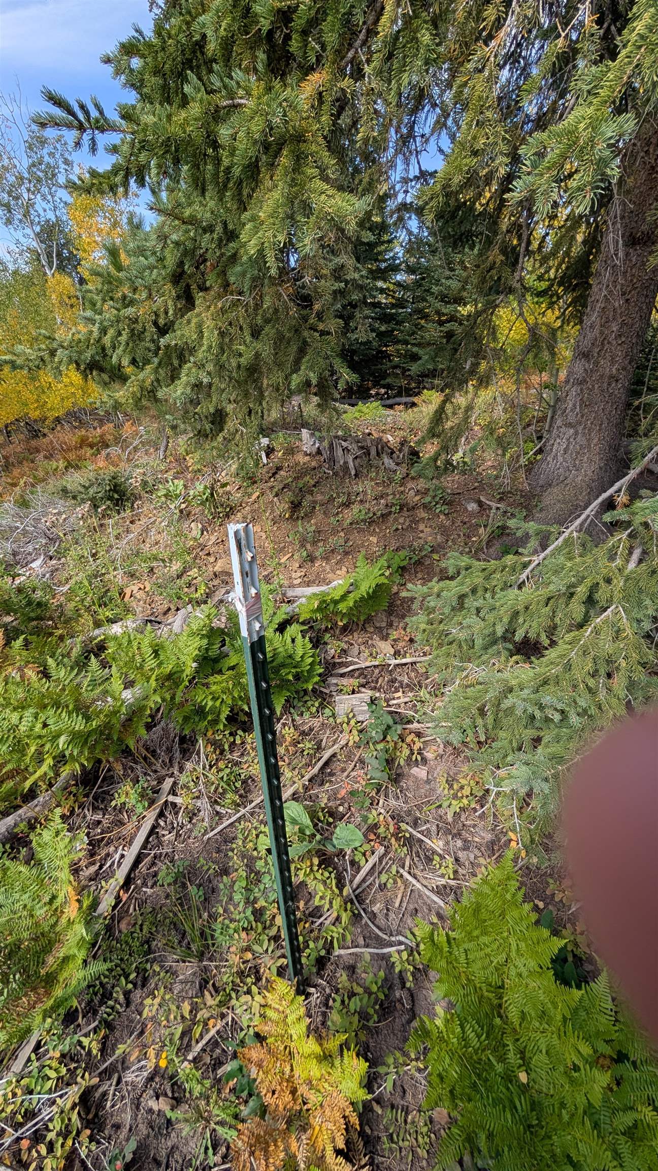 Ms 2066 Moose Trail Property Photo 17