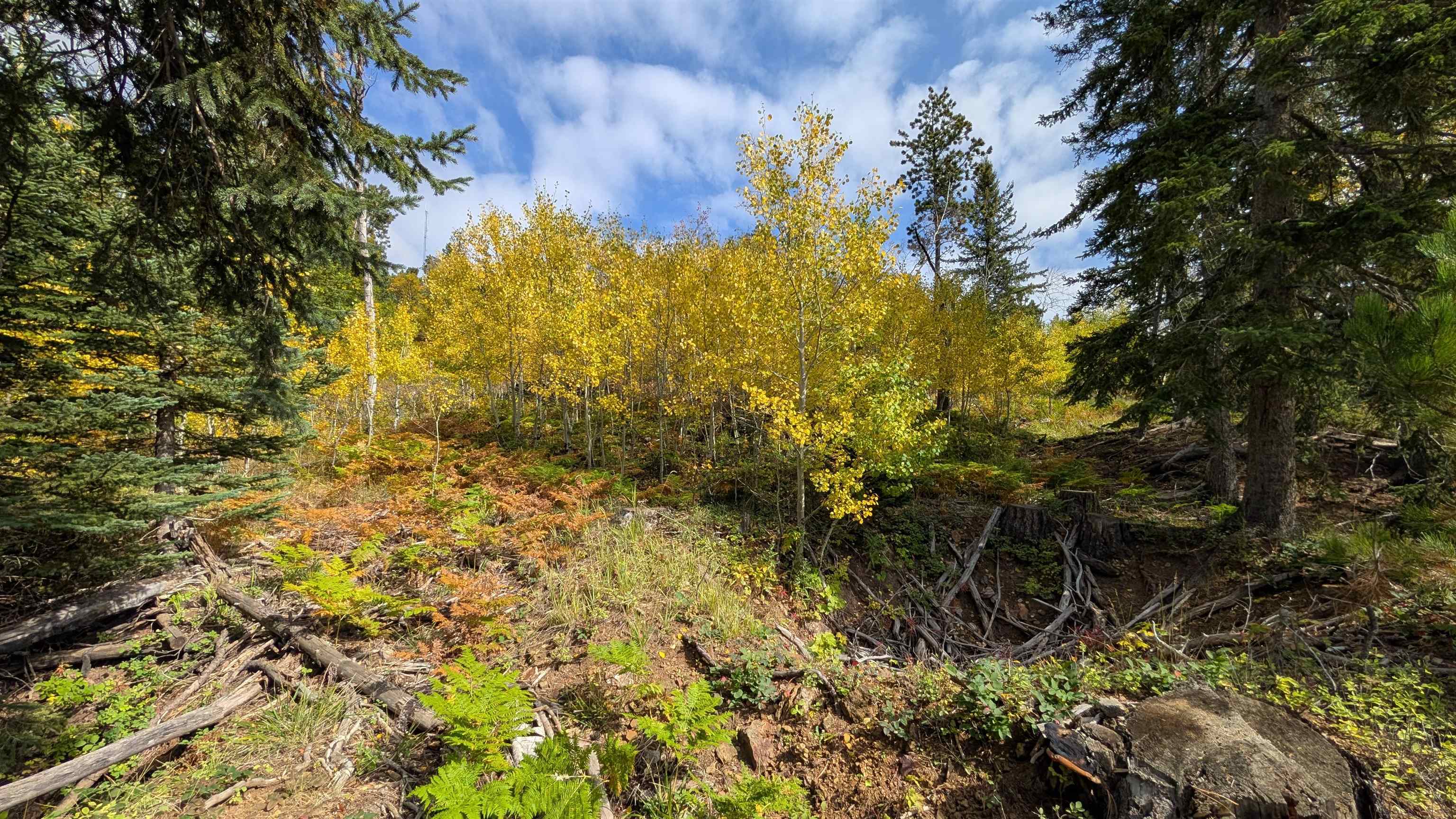 Ms 2066 Moose Trail Property Photo 18
