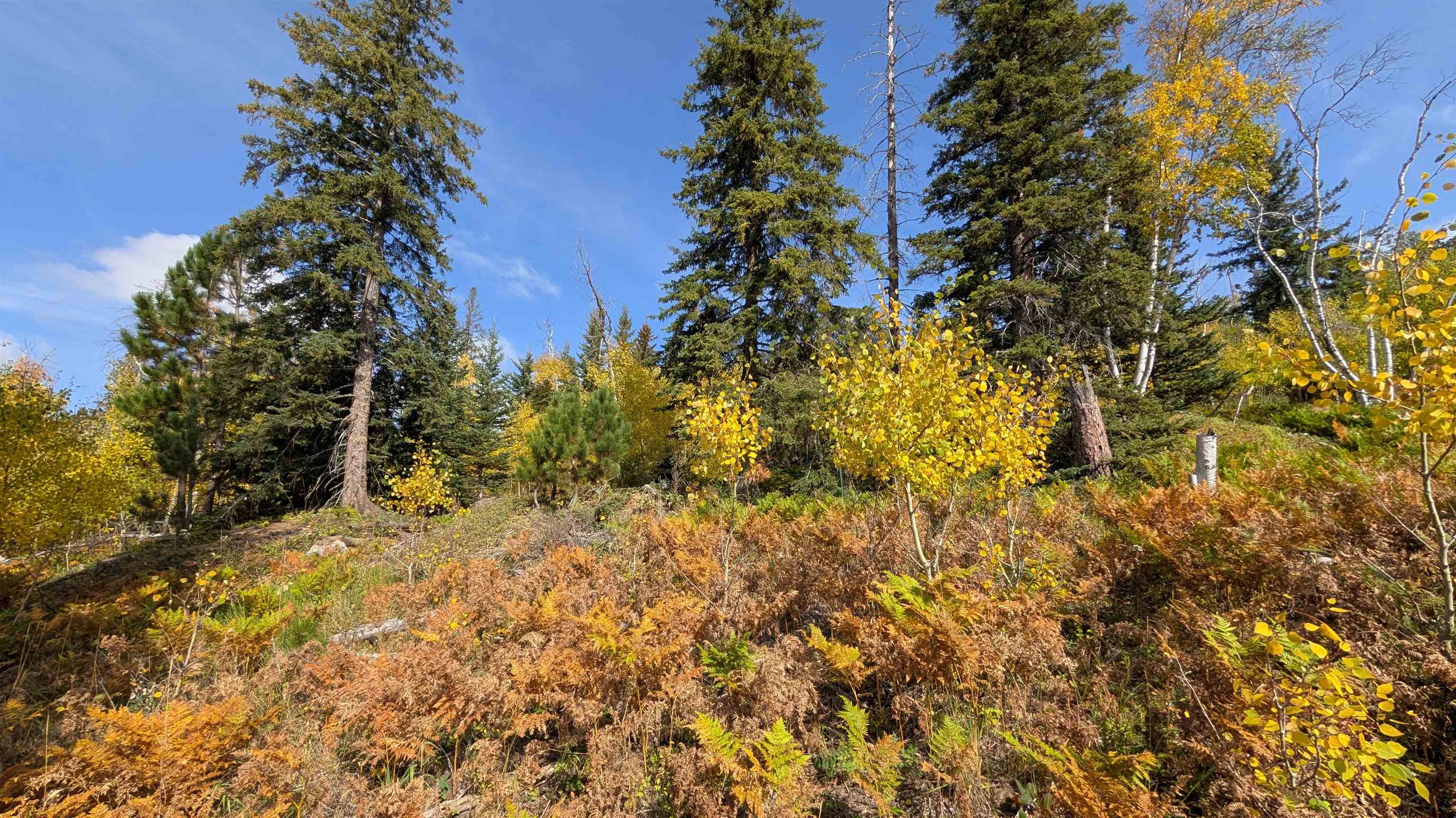 Ms 2066 Moose Trail Property Photo 19