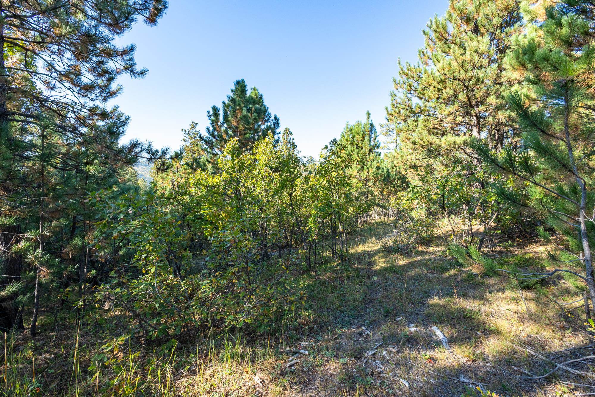 Lot 17 Dynasty Road Property Photo 1