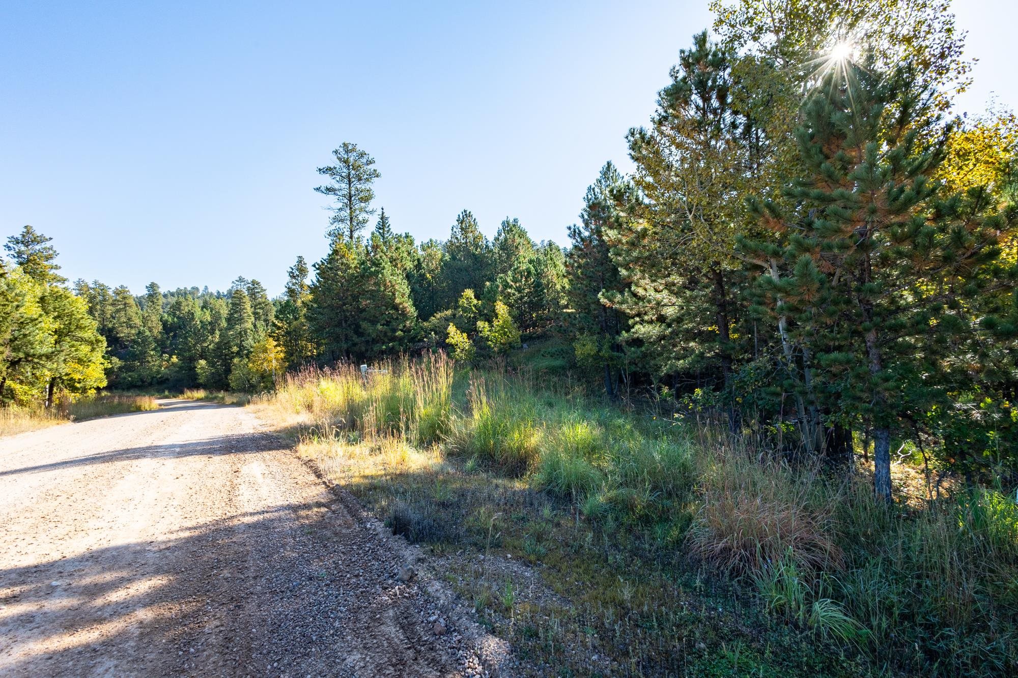 Lot 17 Dynasty Road Property Photo 4