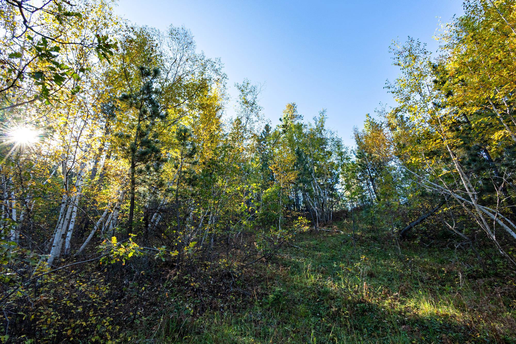 Lot 17 Dynasty Road Property Photo 5