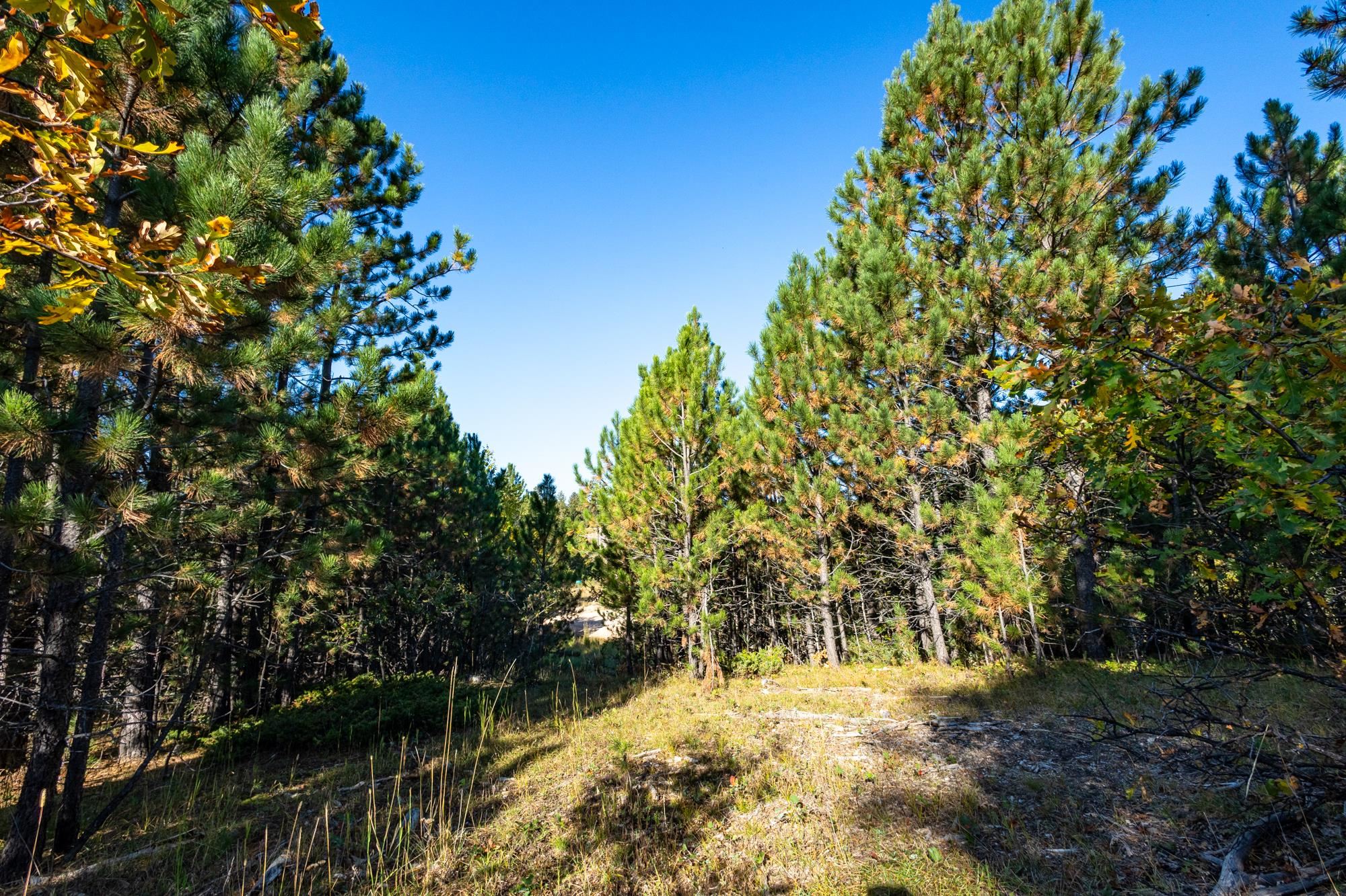 Lot 17 Dynasty Road Property Photo 6