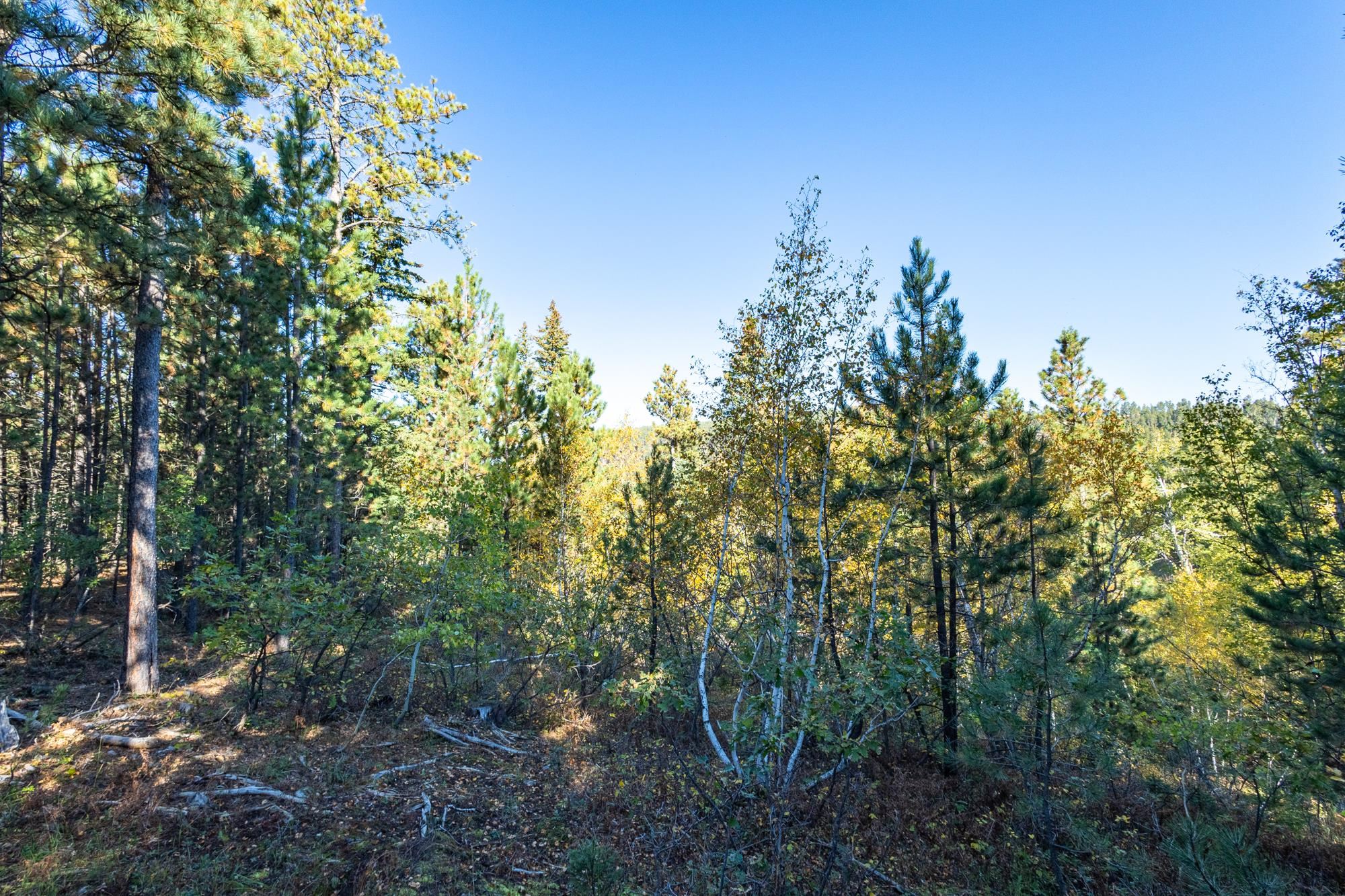 Lot 17 Dynasty Road Property Photo 7