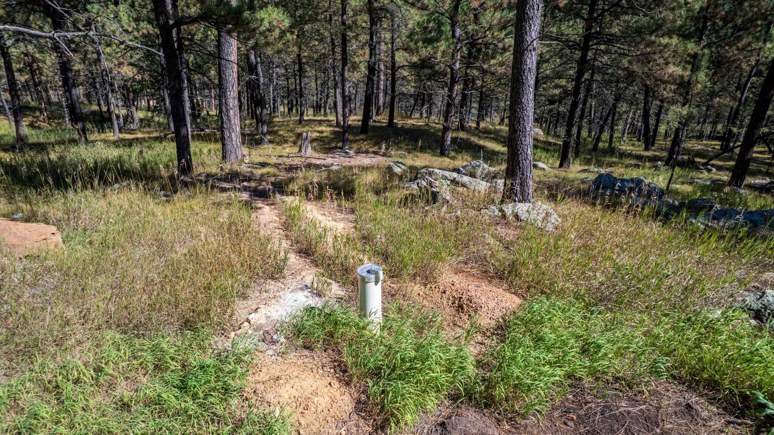 24409 Milo Lane Property Photo 3